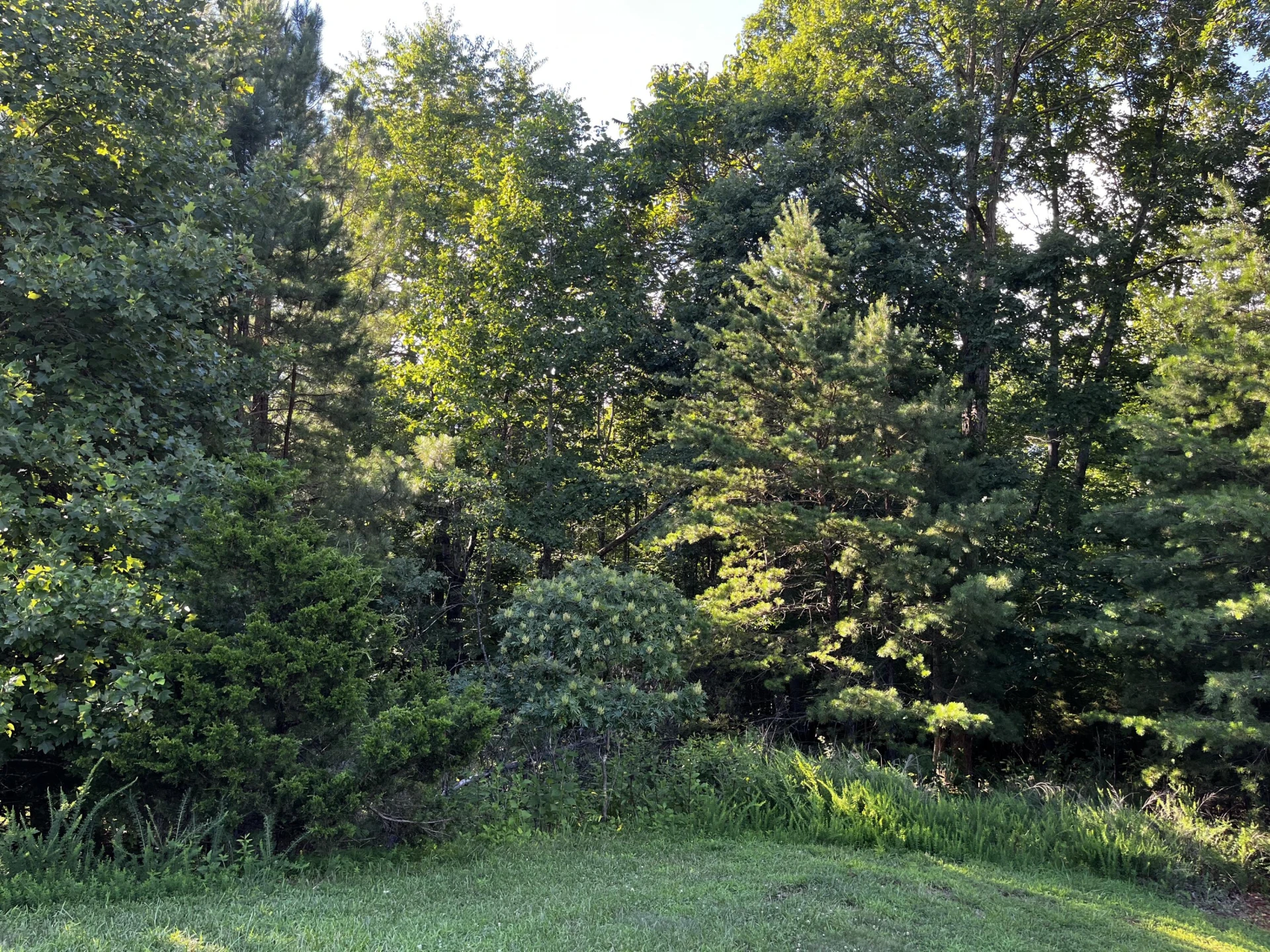 Lot 359 Clear Pointe Run - Photo 9