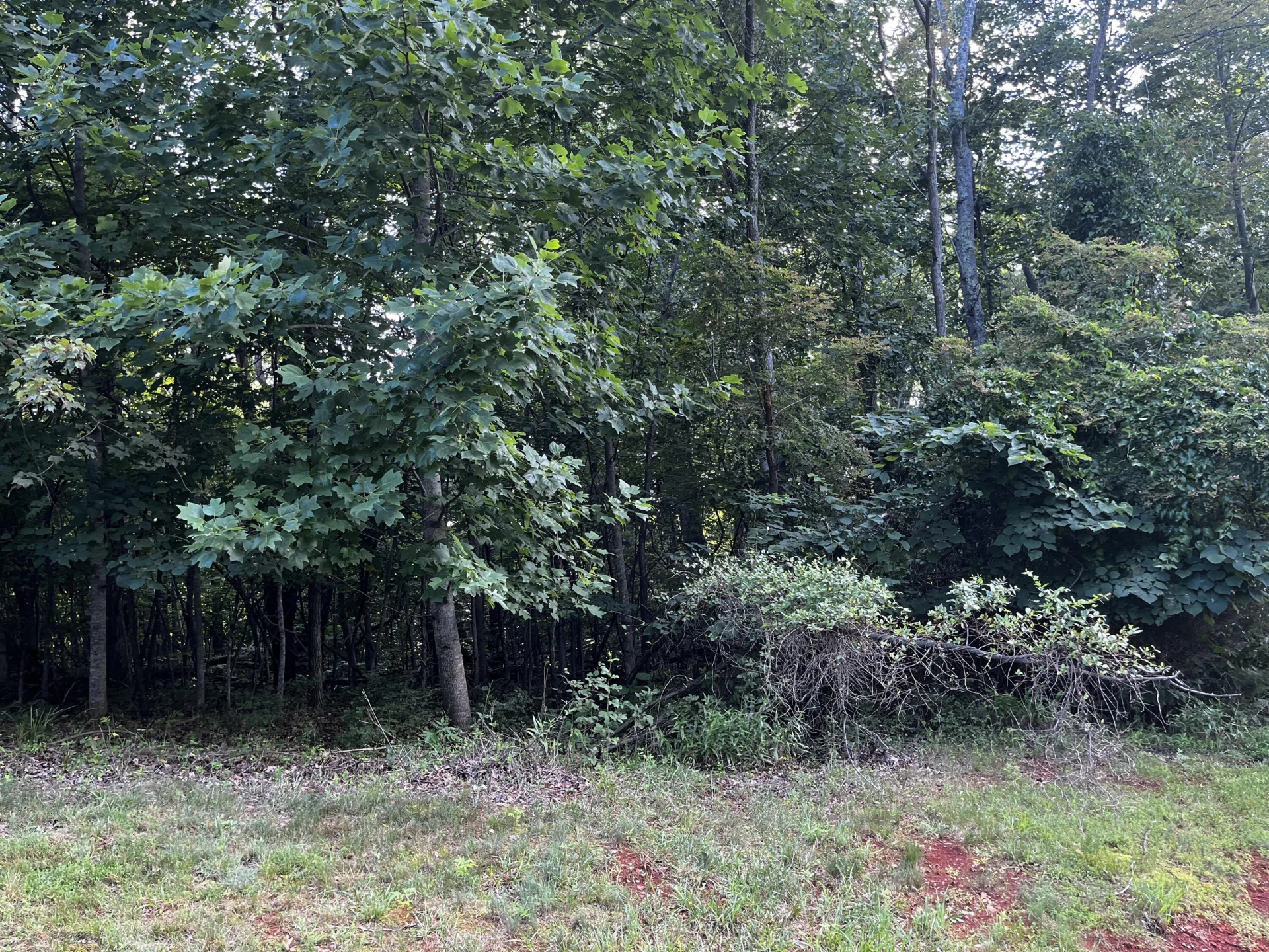 Lot 332 Bay View RD - Photo 3