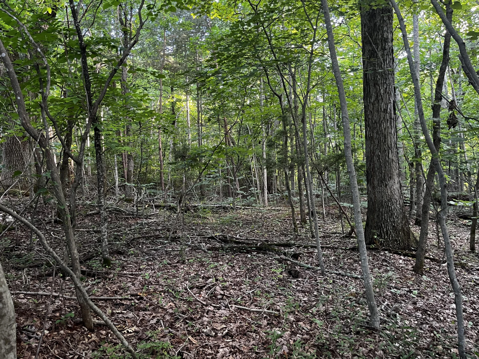 Lot 332 Bay View RD - Photo 4