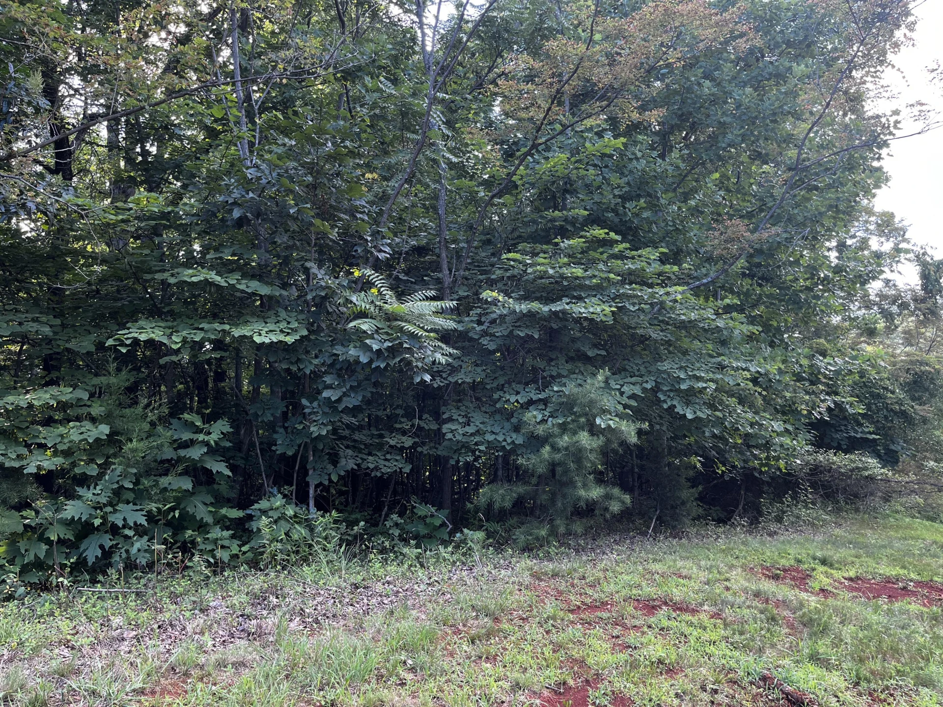 Lot 332 Bay View RD - Photo 5