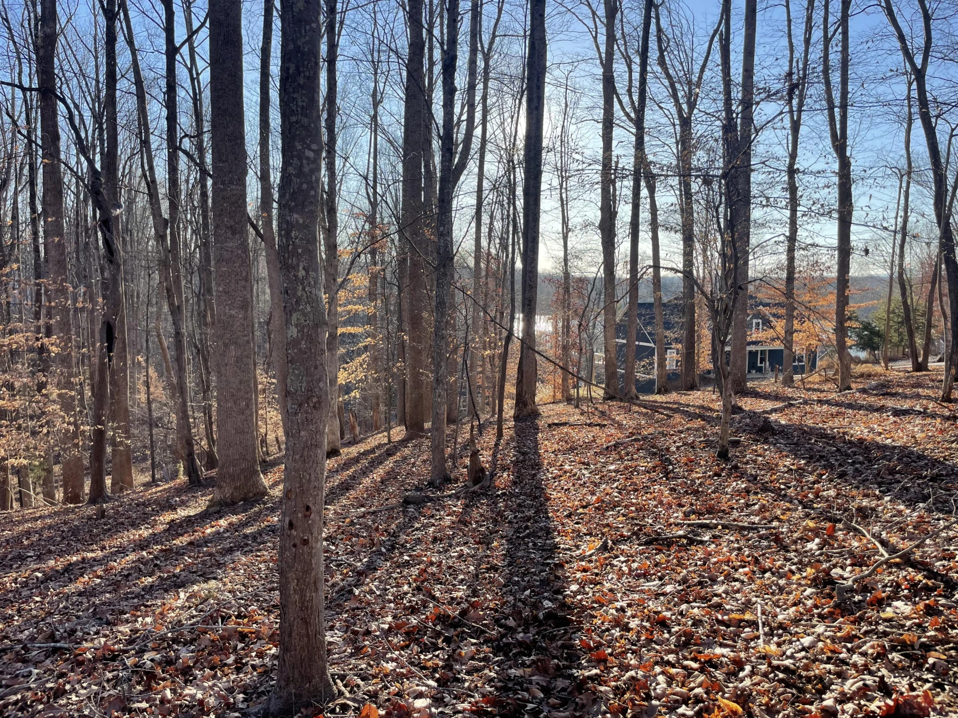 Lot 118 Brentwood LN