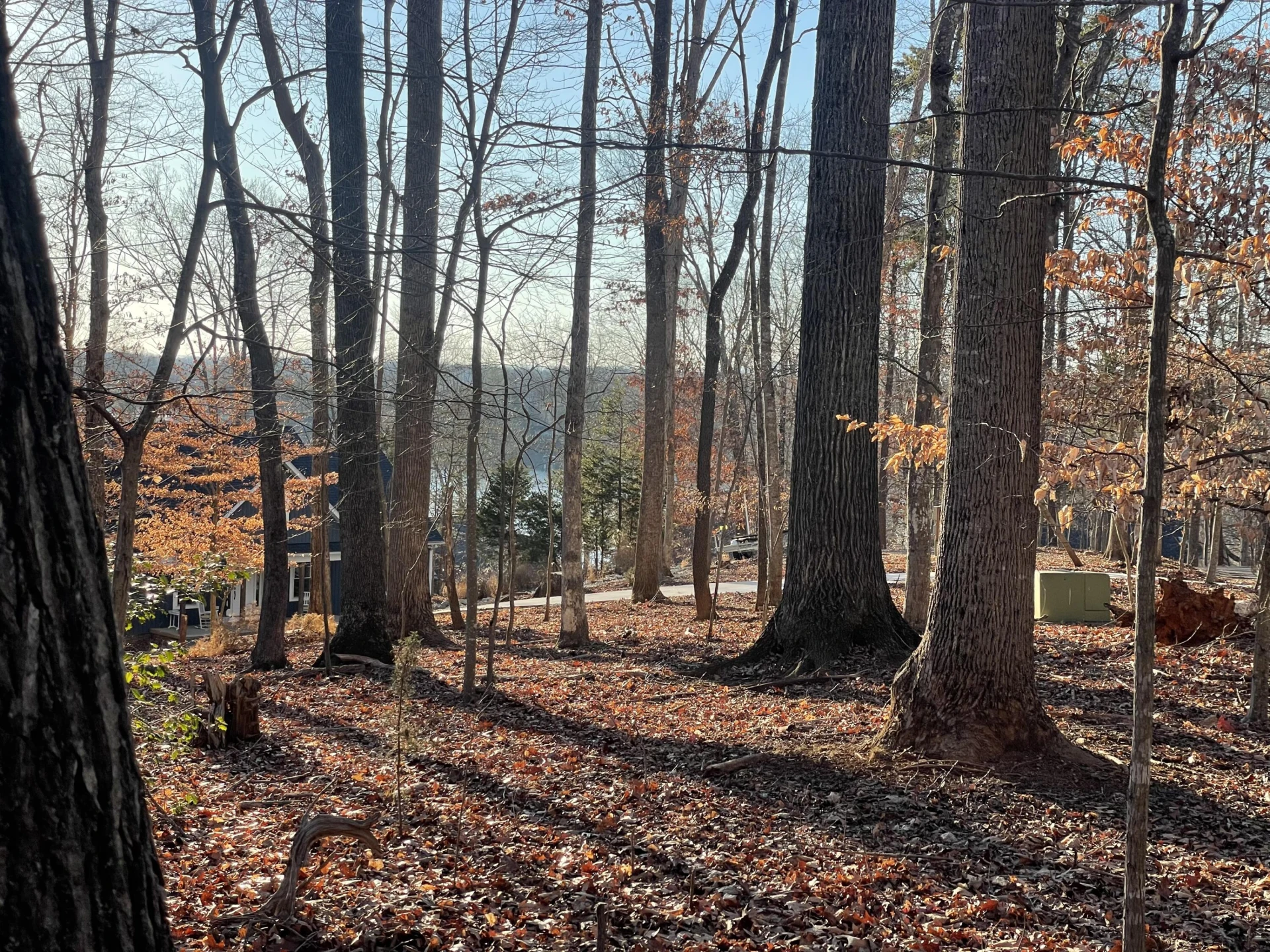 Lot 118 Brentwood LN - Photo 2