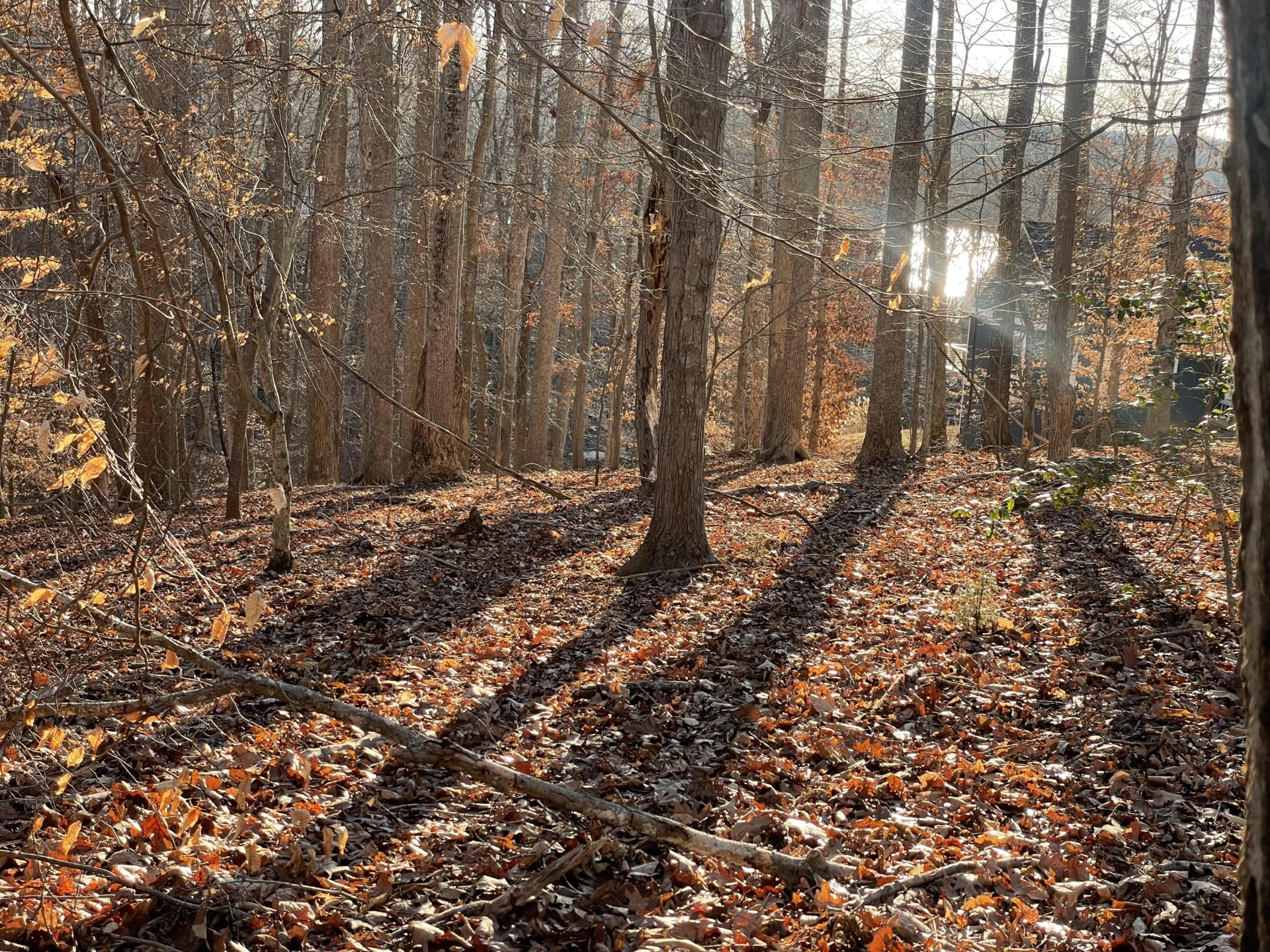 Lot 118 Brentwood LN - Photo 3