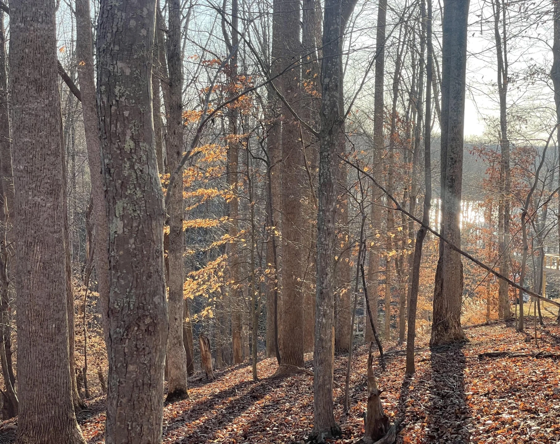 Lot 118 Brentwood LN - Photo 4