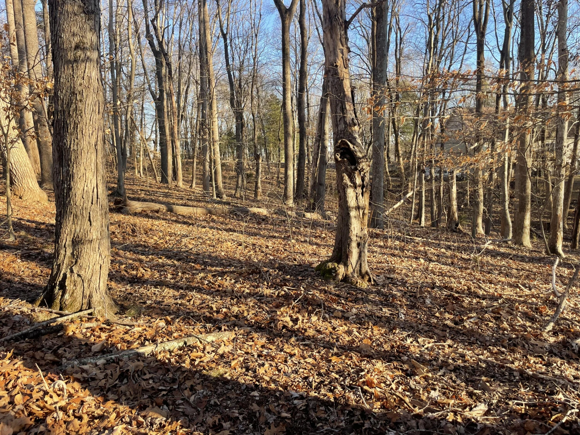 Lot 118 Brentwood LN - Photo 5