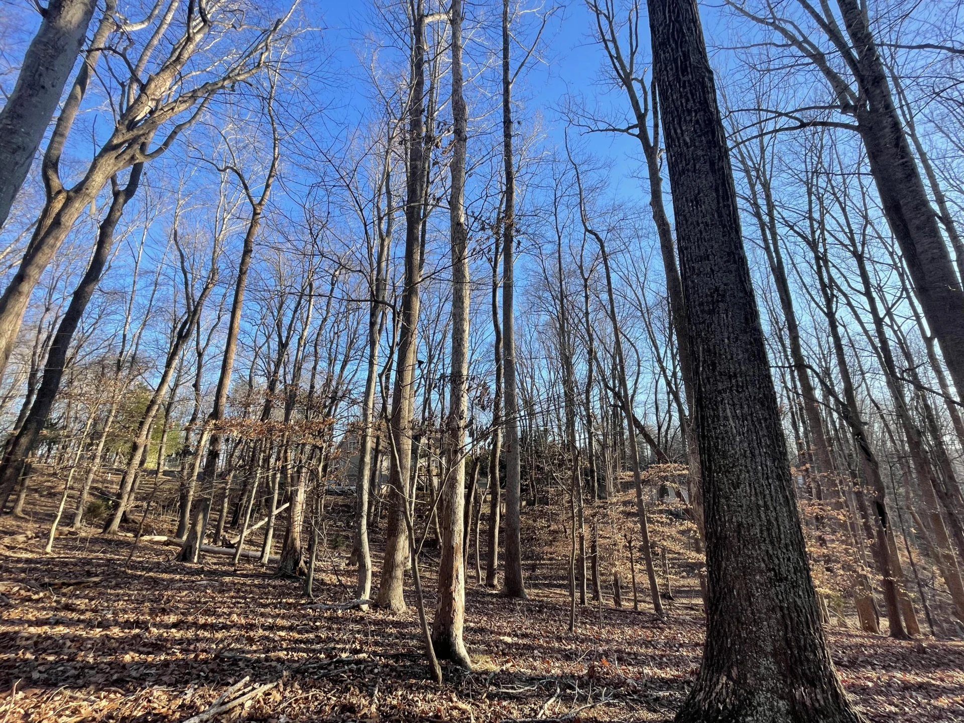 Lot 118 Brentwood LN - Photo 7