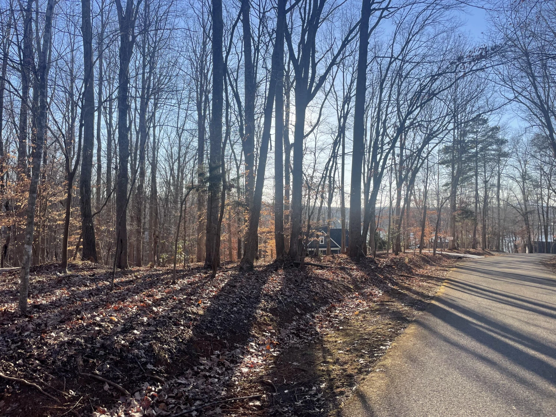 Lot 118 Brentwood LN - Photo 8