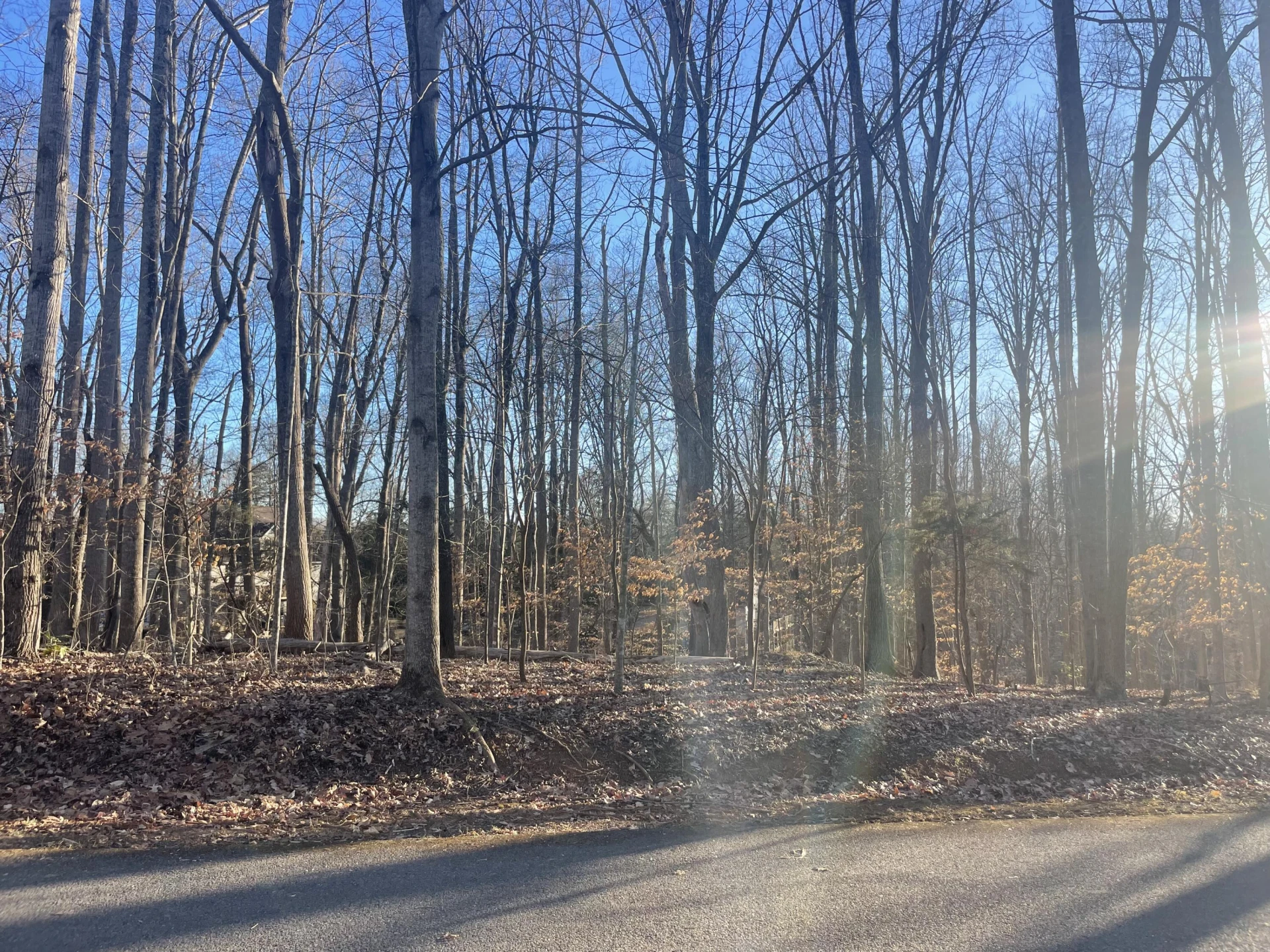 Lot 118 Brentwood LN - Photo 9