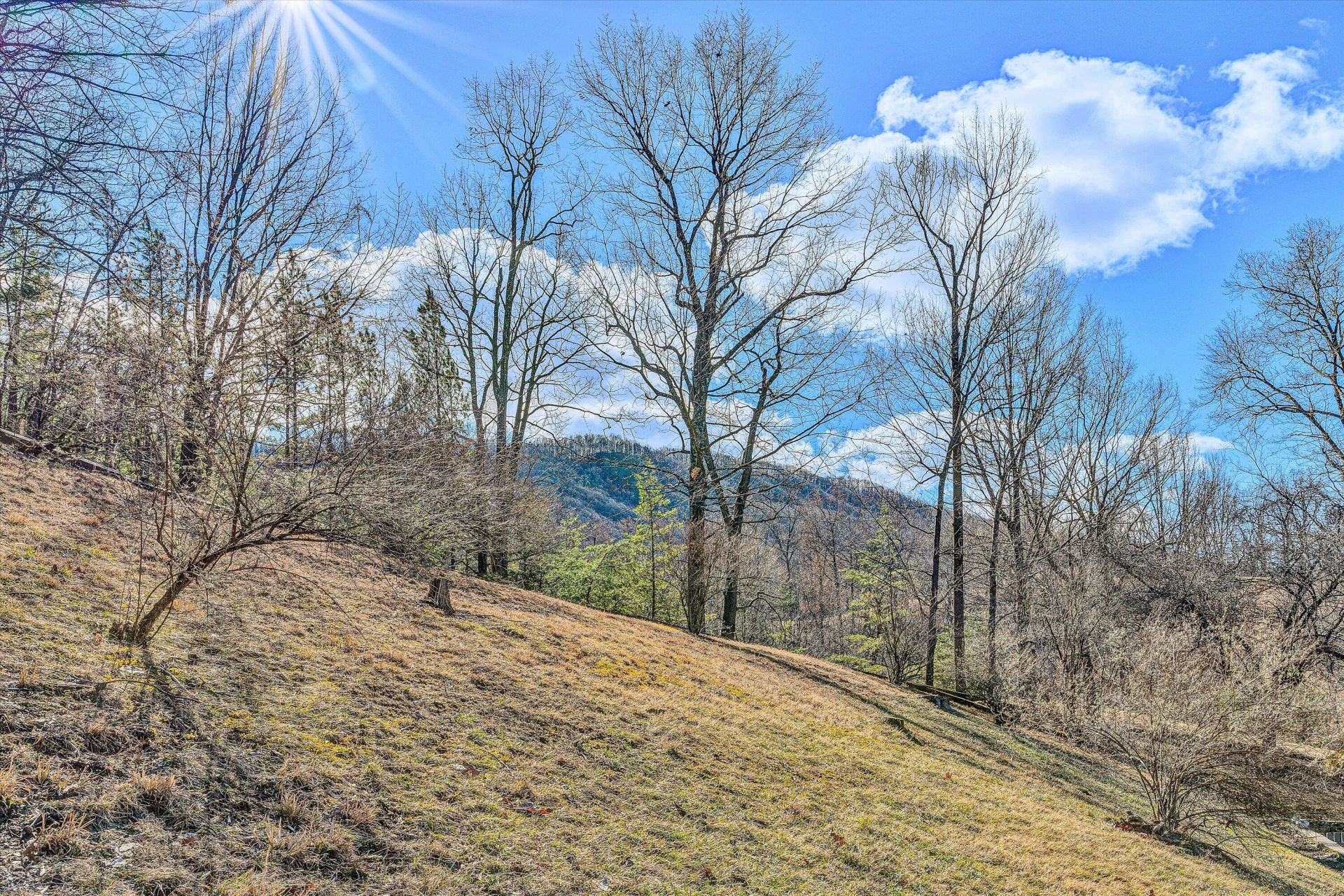 29 Serenity LN - Photo 44