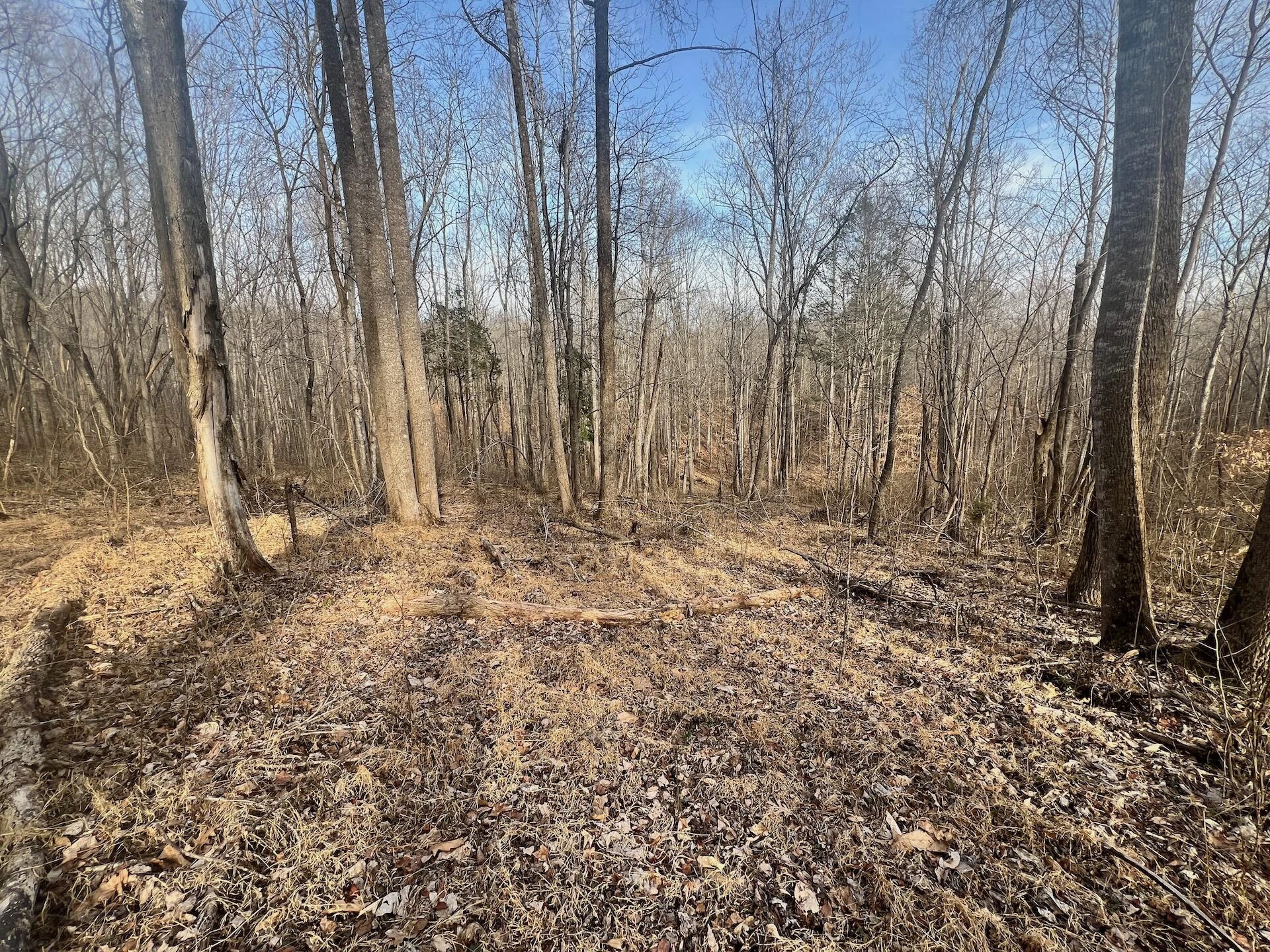 0 Yorkshire DR - Photo 23