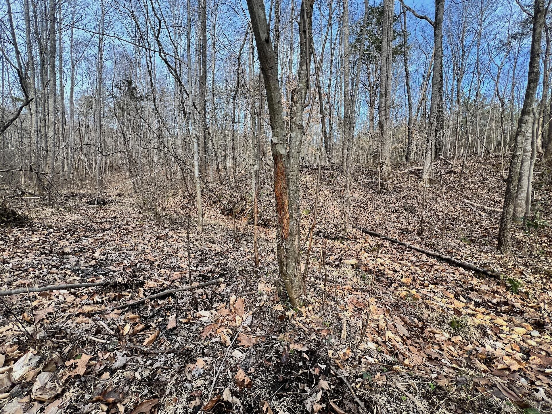 0 Yorkshire DR - Photo 26