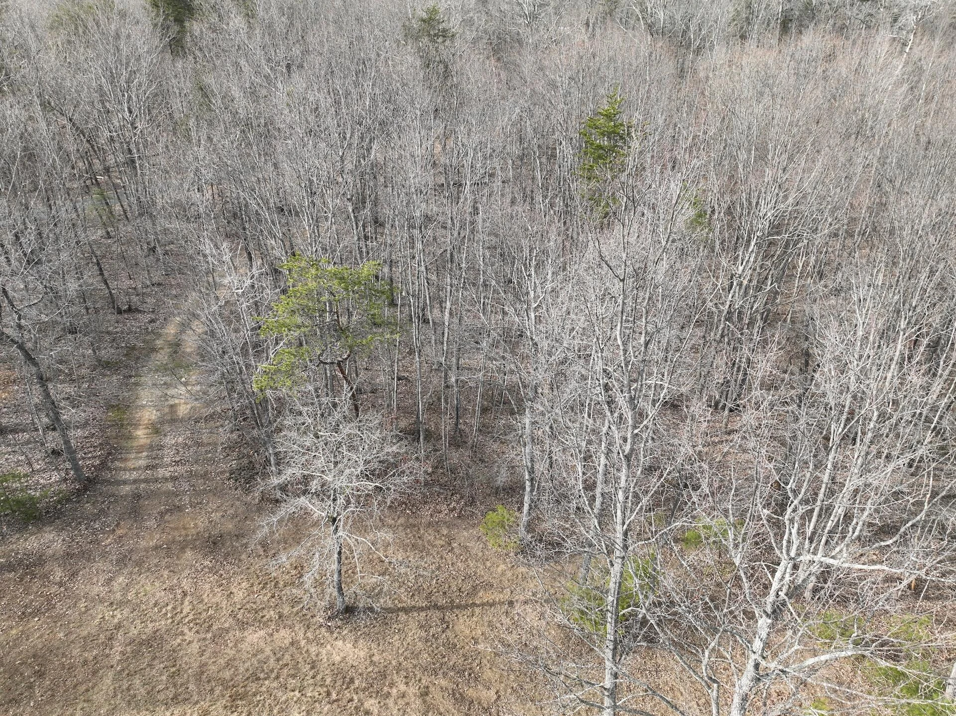 0 Yorkshire DR - Photo 33