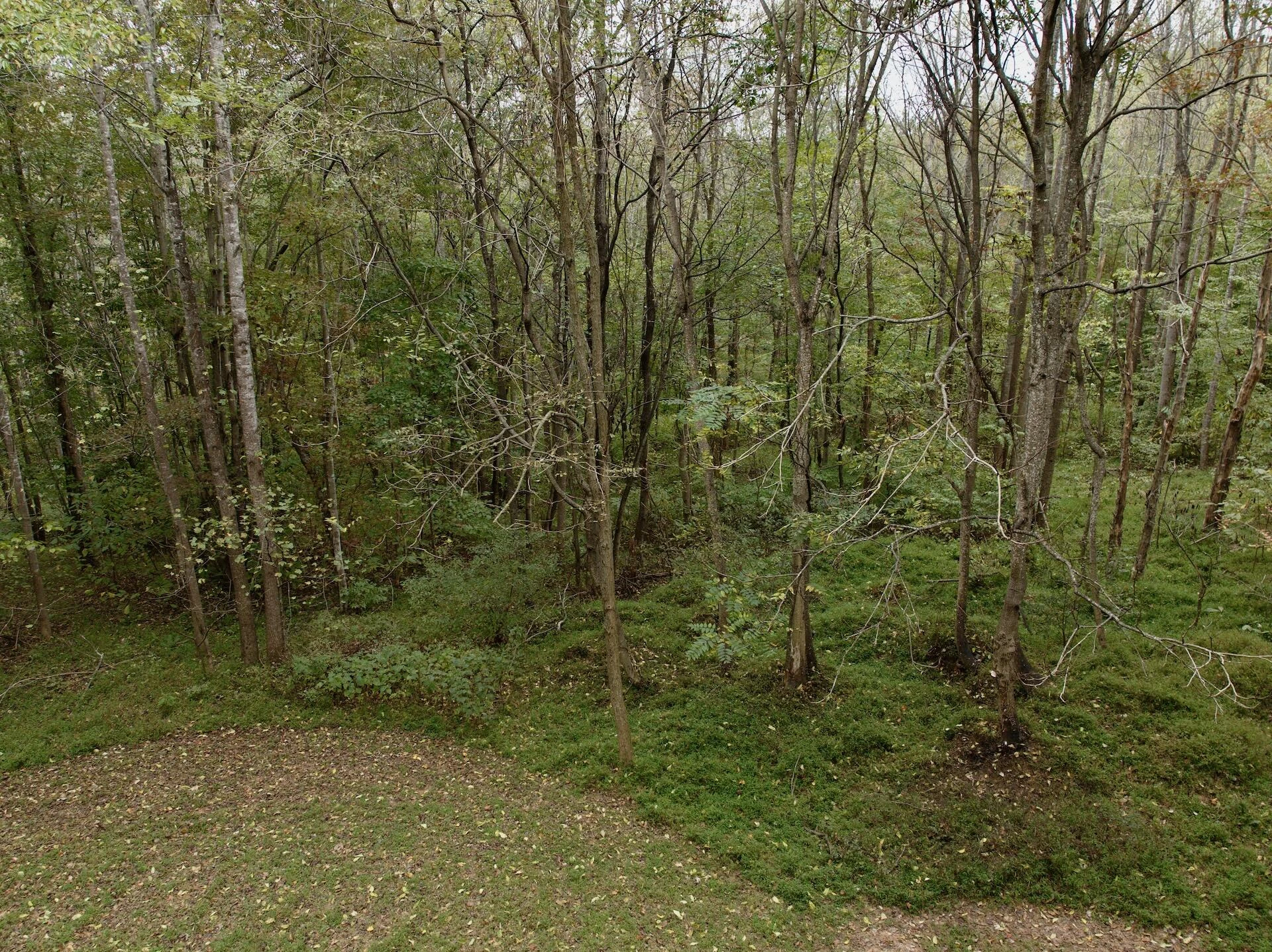 0 Yorkshire DR - Photo 95