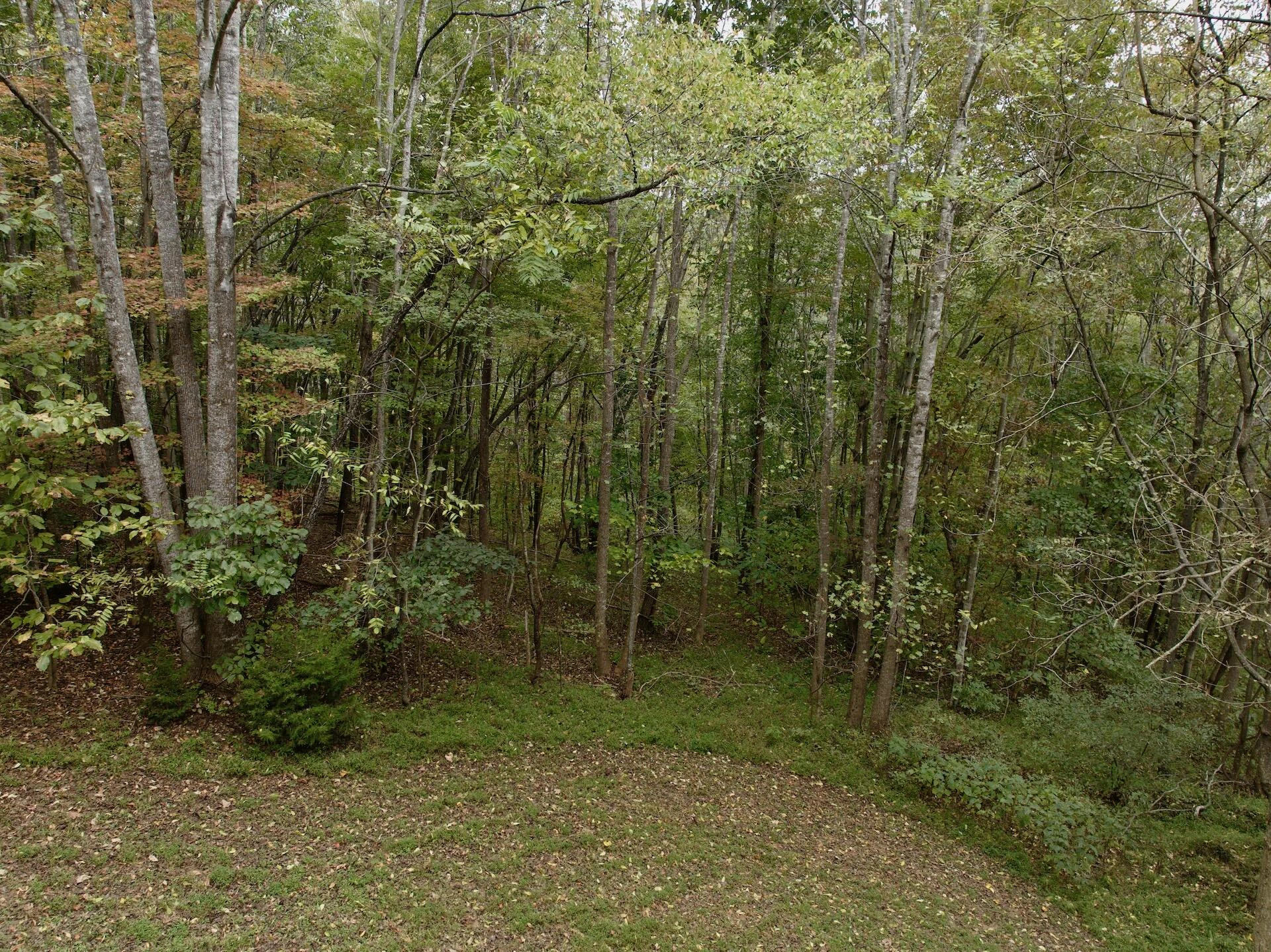 0 Yorkshire DR - Photo 97