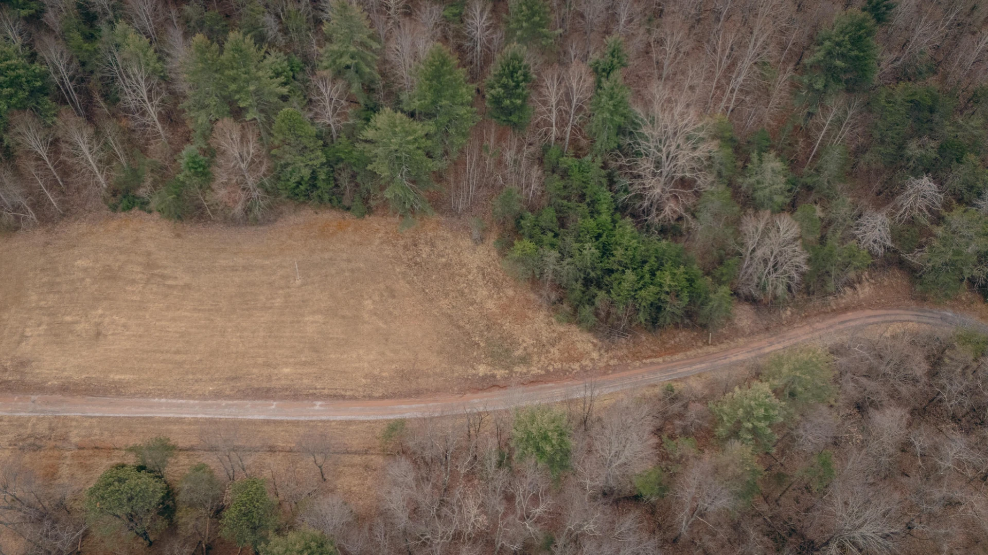 0 Ashley DR - Photo 11