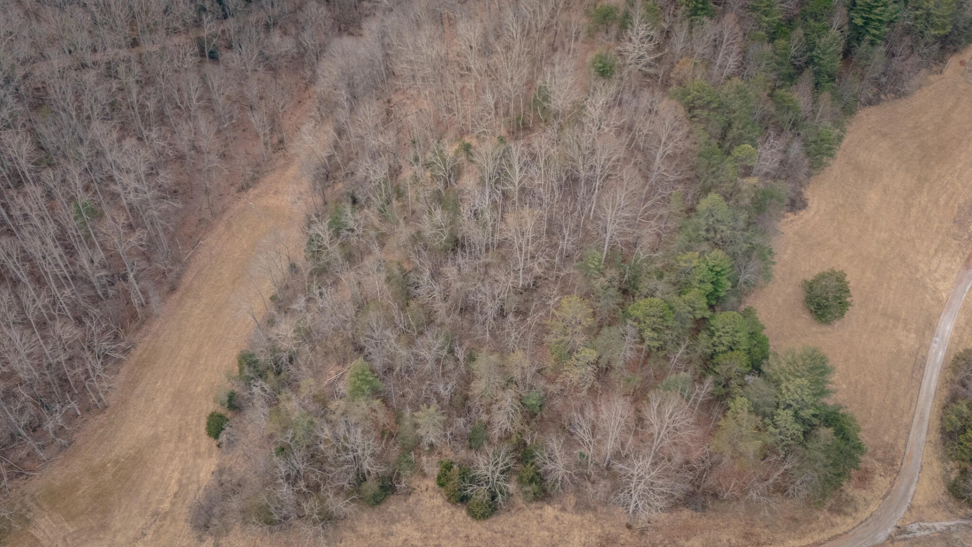 0 Ashley DR - Photo 14