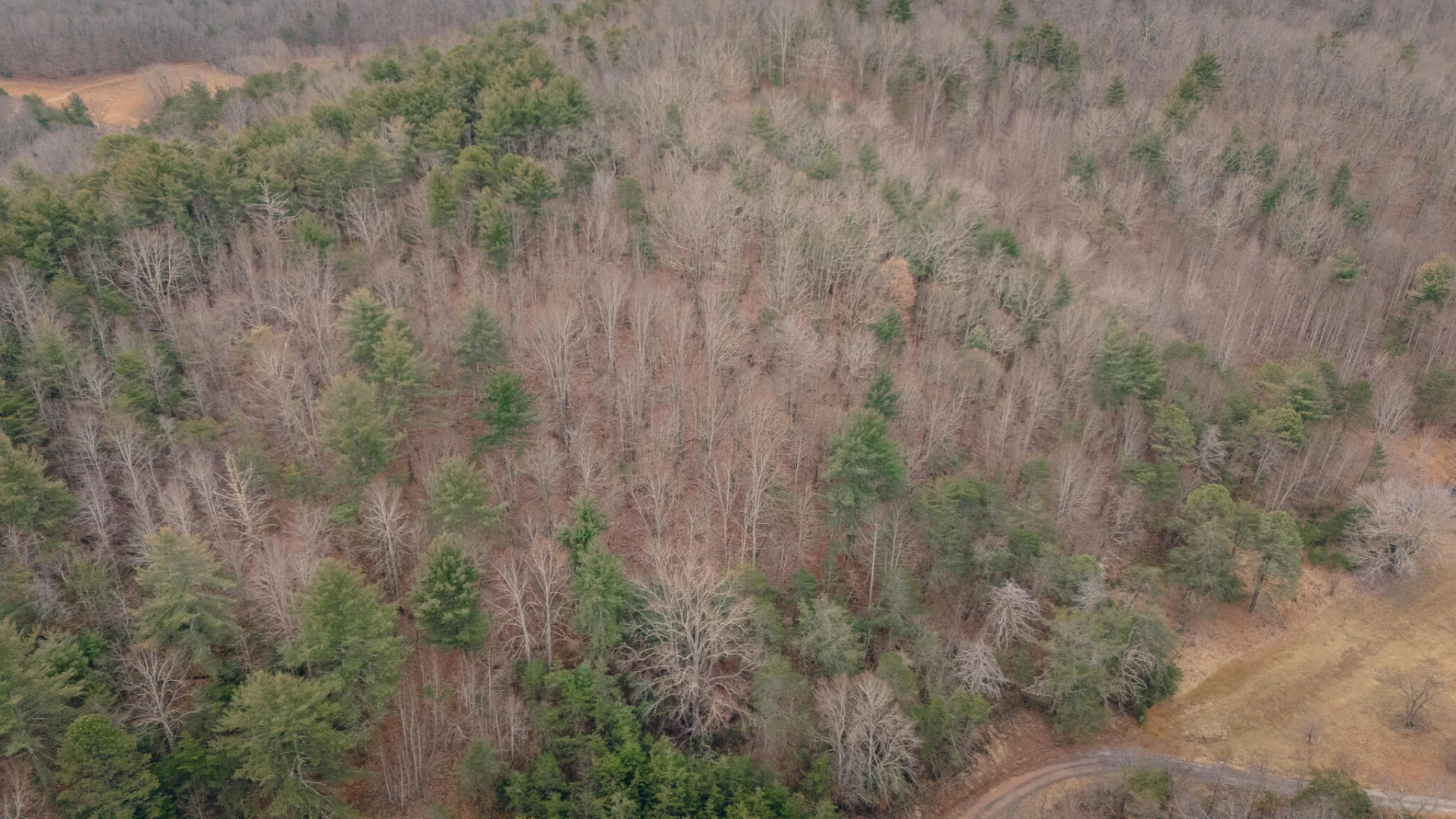 0 Ashley DR - Photo 15