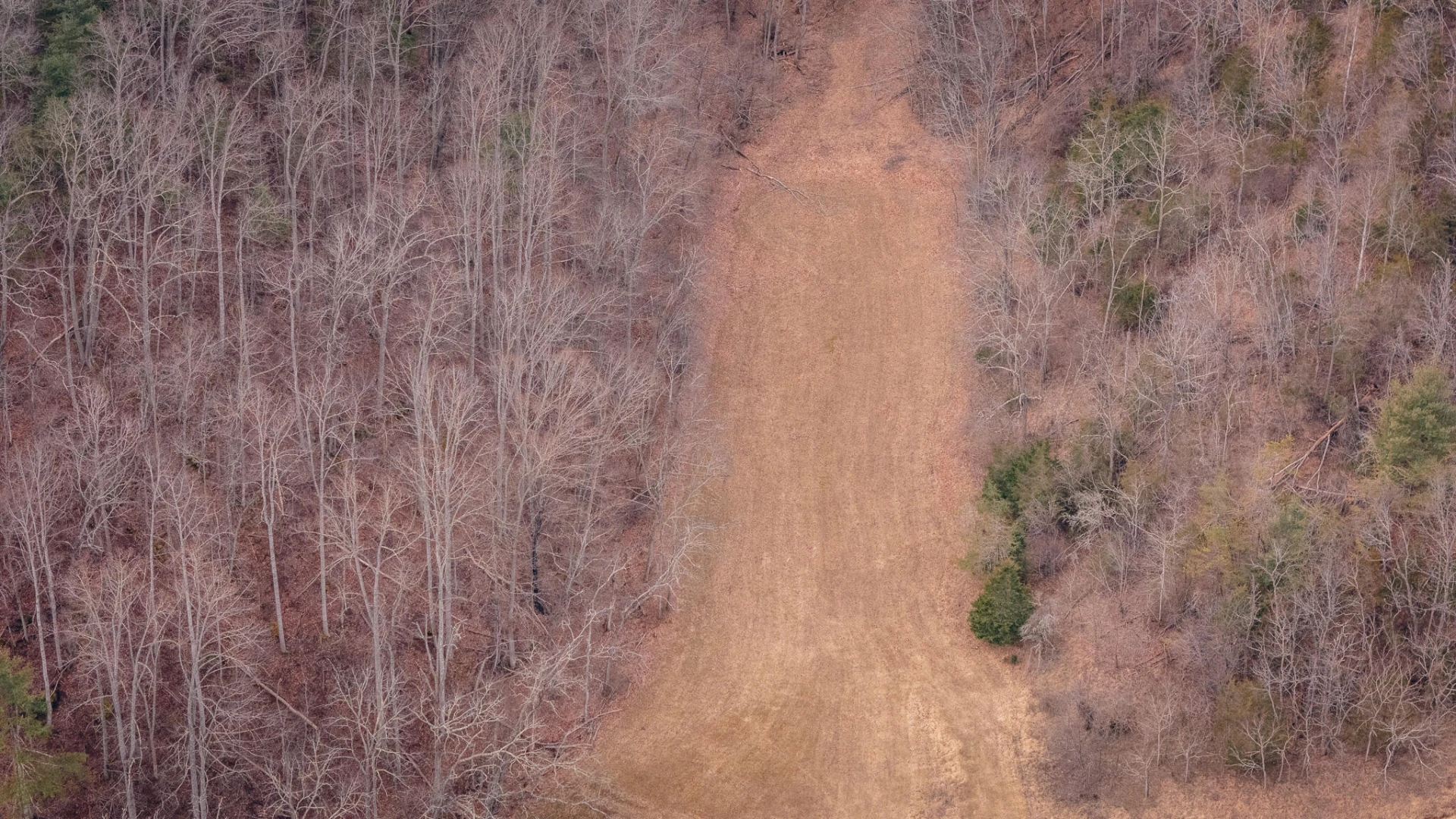 0 Ashley DR - Photo 17