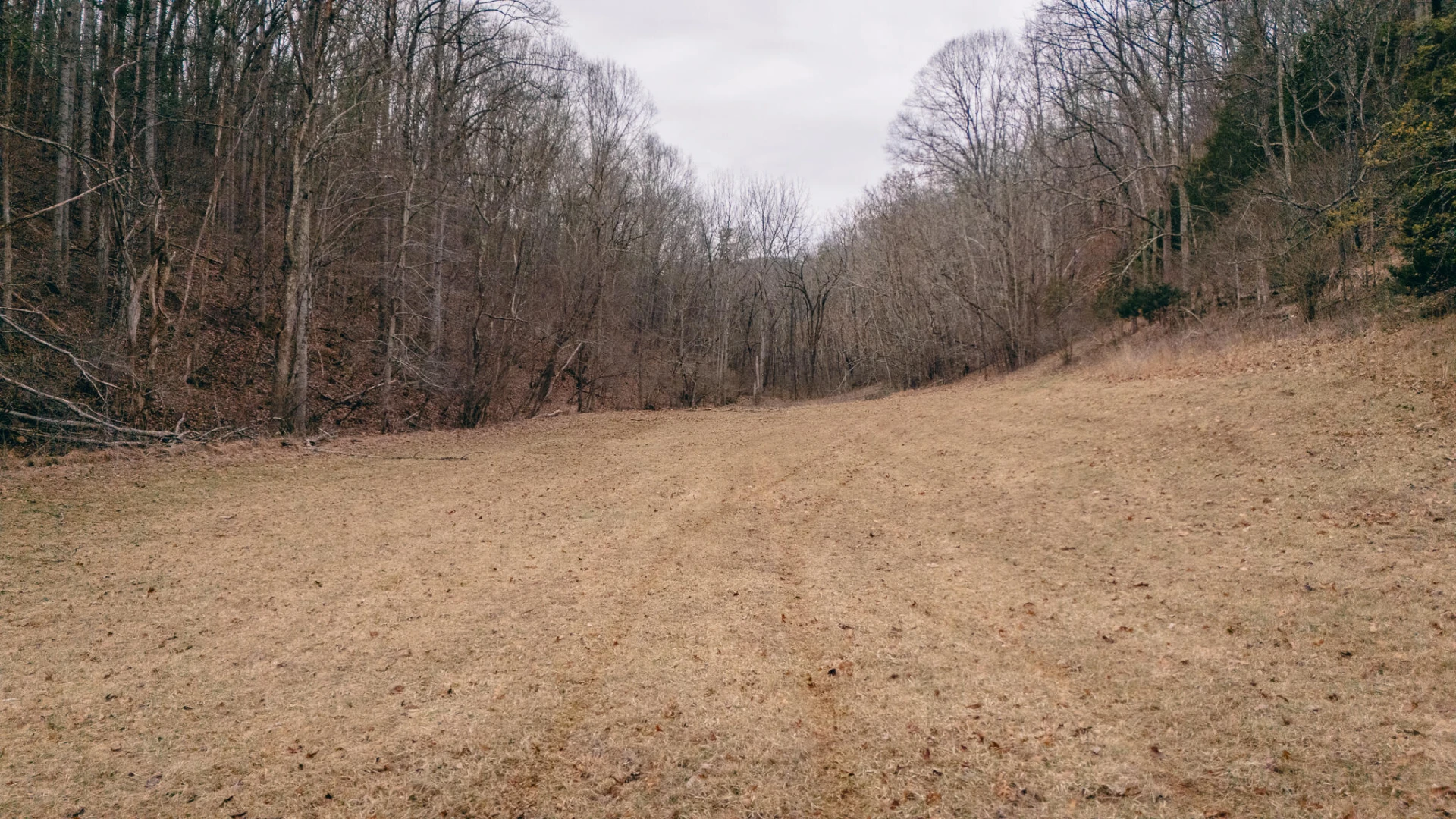 0 Ashley DR - Photo 21