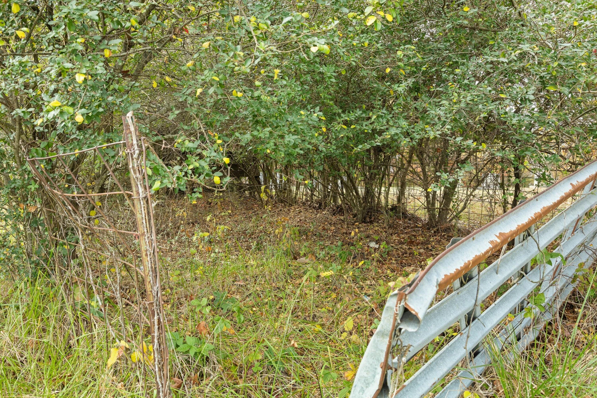 0 Wilson Church RD - Photo 17