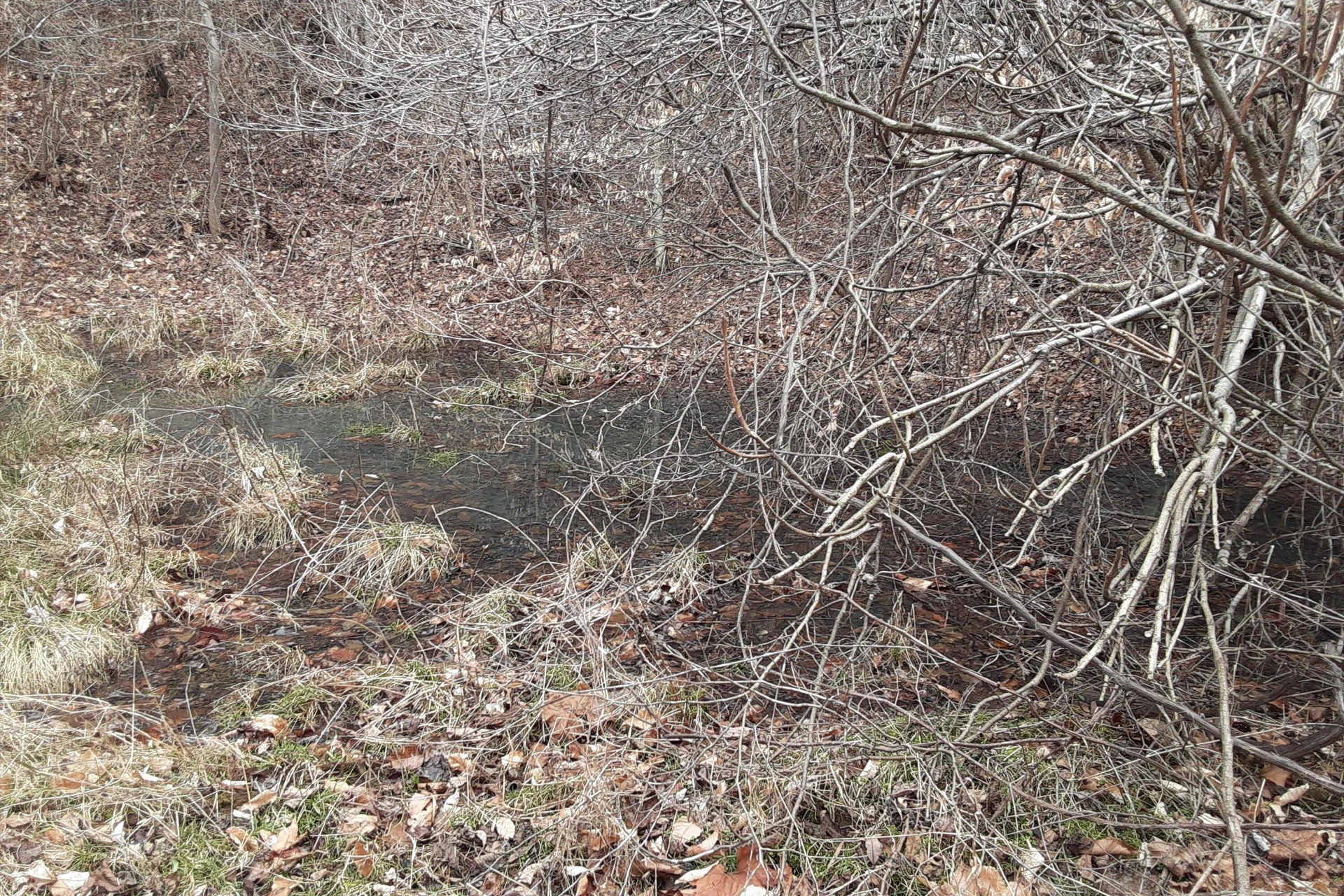 0 Wilson Church RD - Photo 19