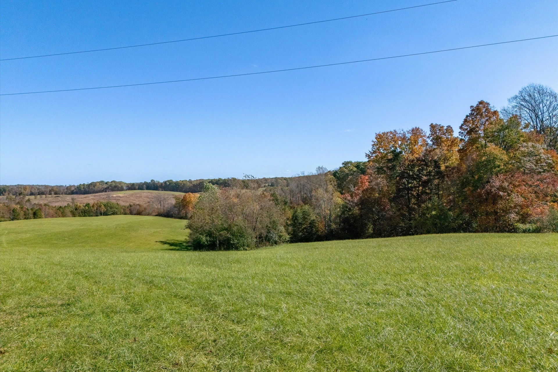 0 Wilson Church RD - Photo 2