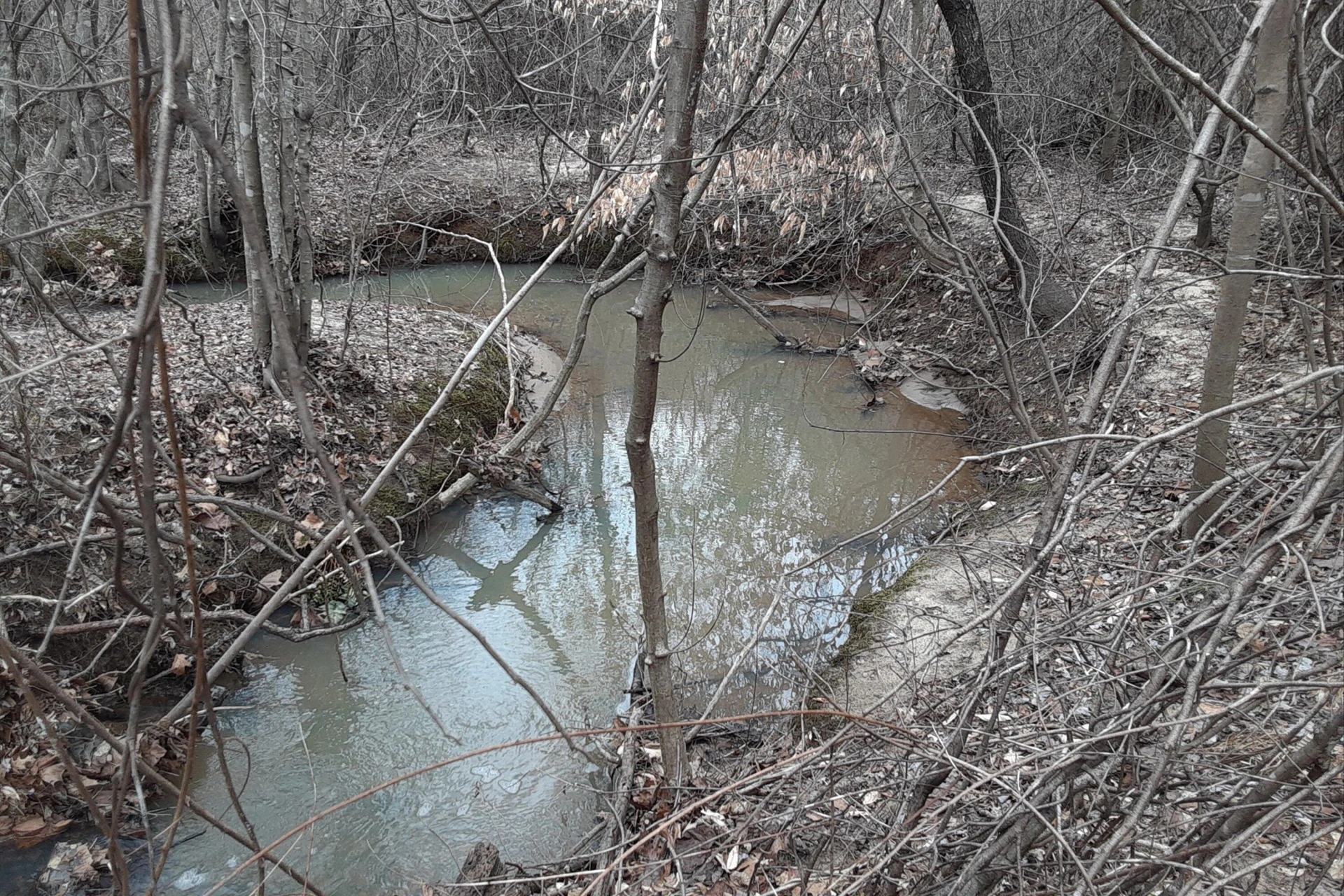 0 Wilson Church RD - Photo 21