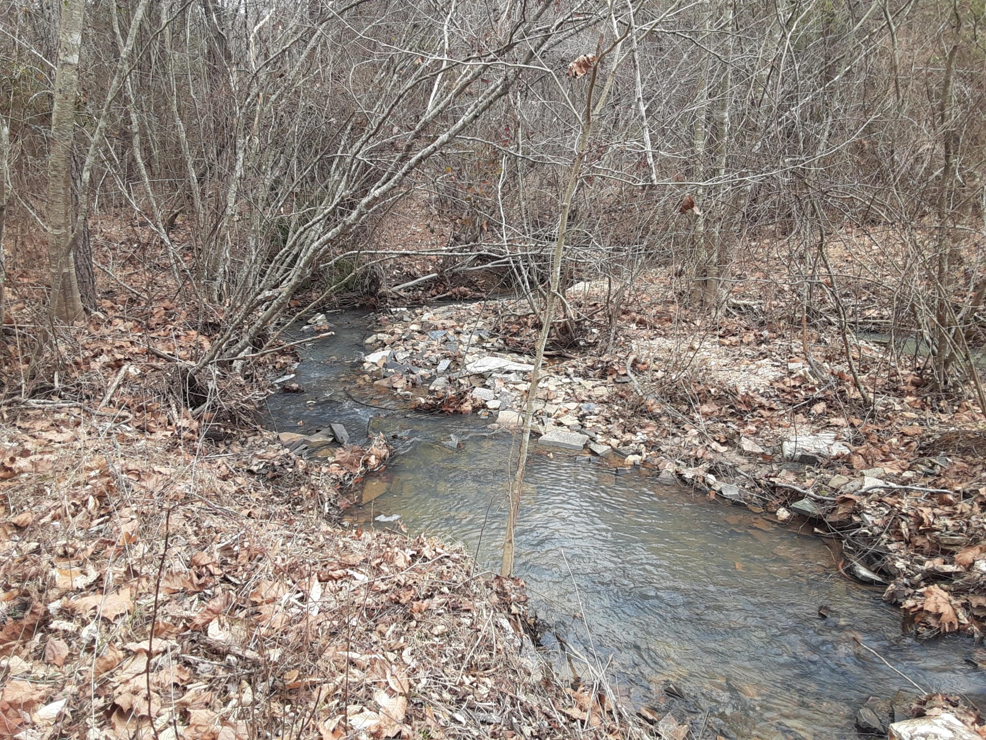 0 Wilson Church RD - Photo 23