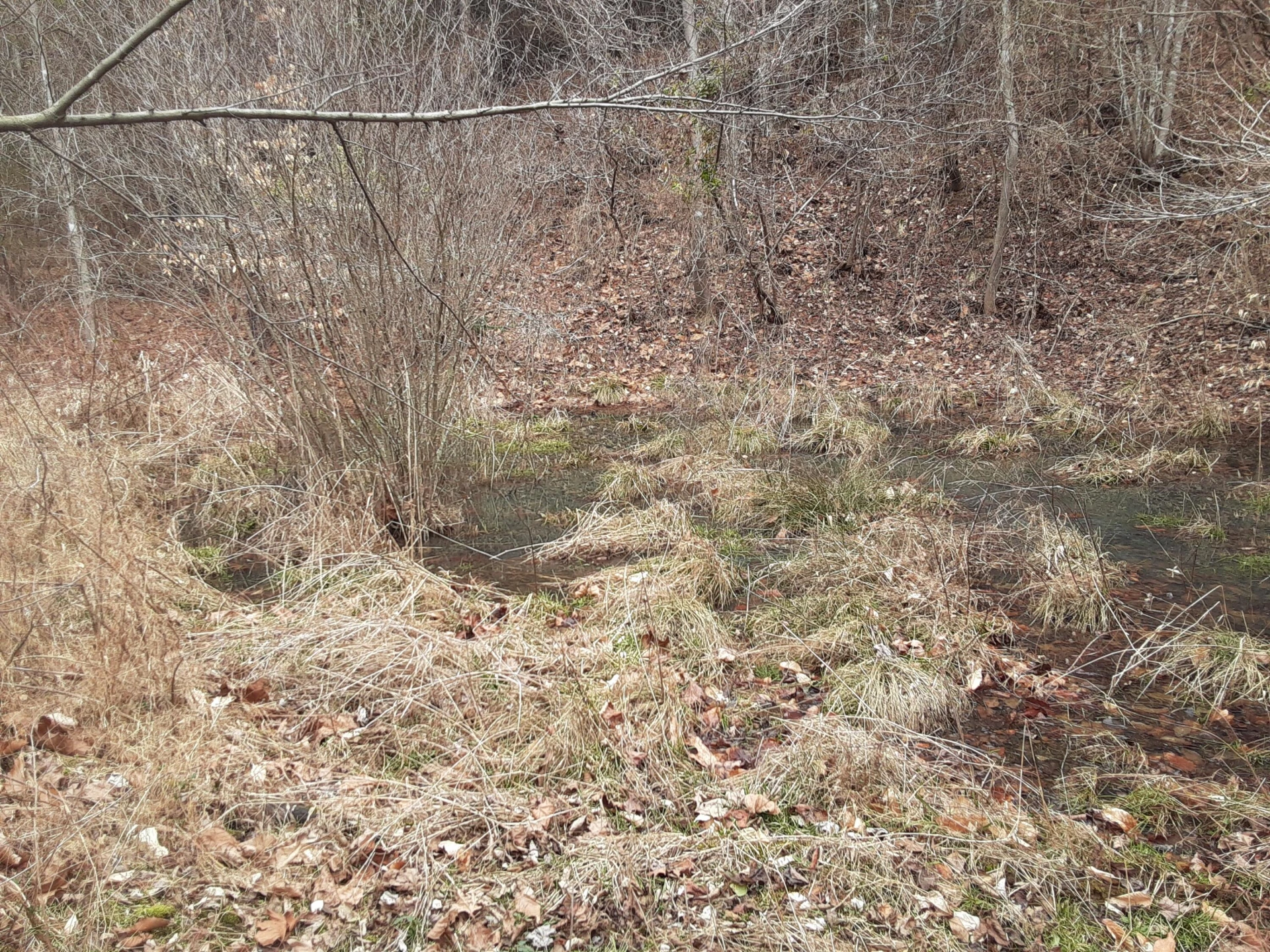0 Wilson Church RD - Photo 24