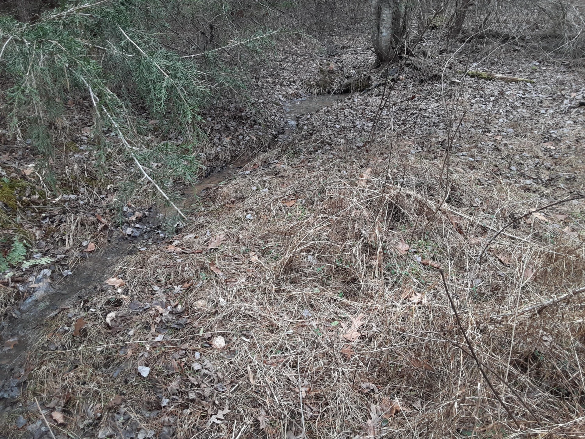 0 Wilson Church RD - Photo 25