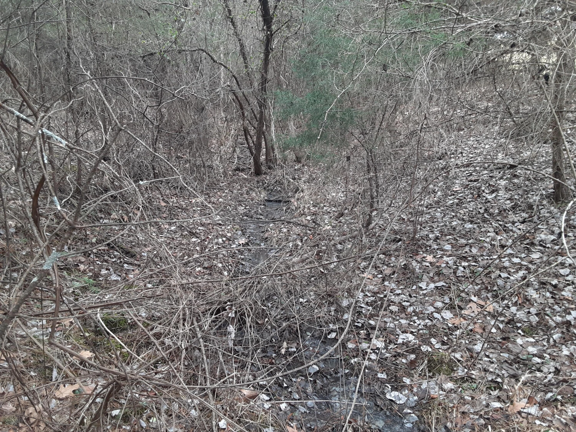 0 Wilson Church RD - Photo 26