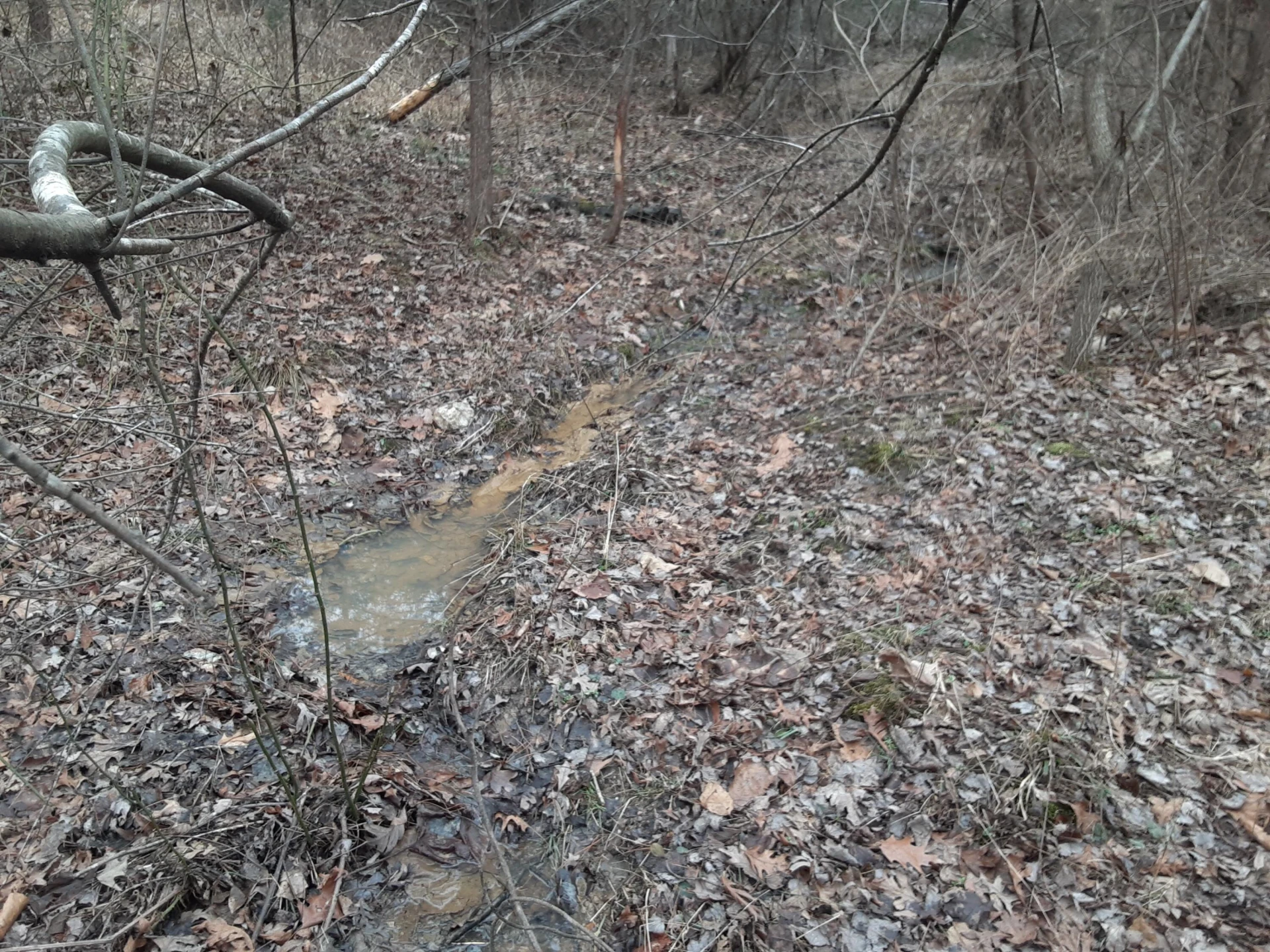 0 Wilson Church RD - Photo 27