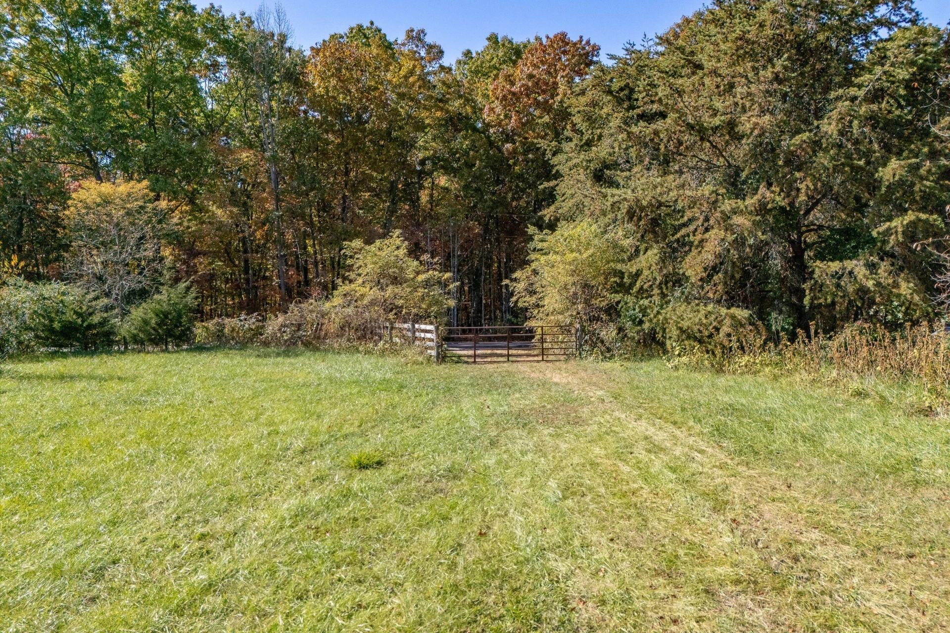 0 Wilson Church RD - Photo 34