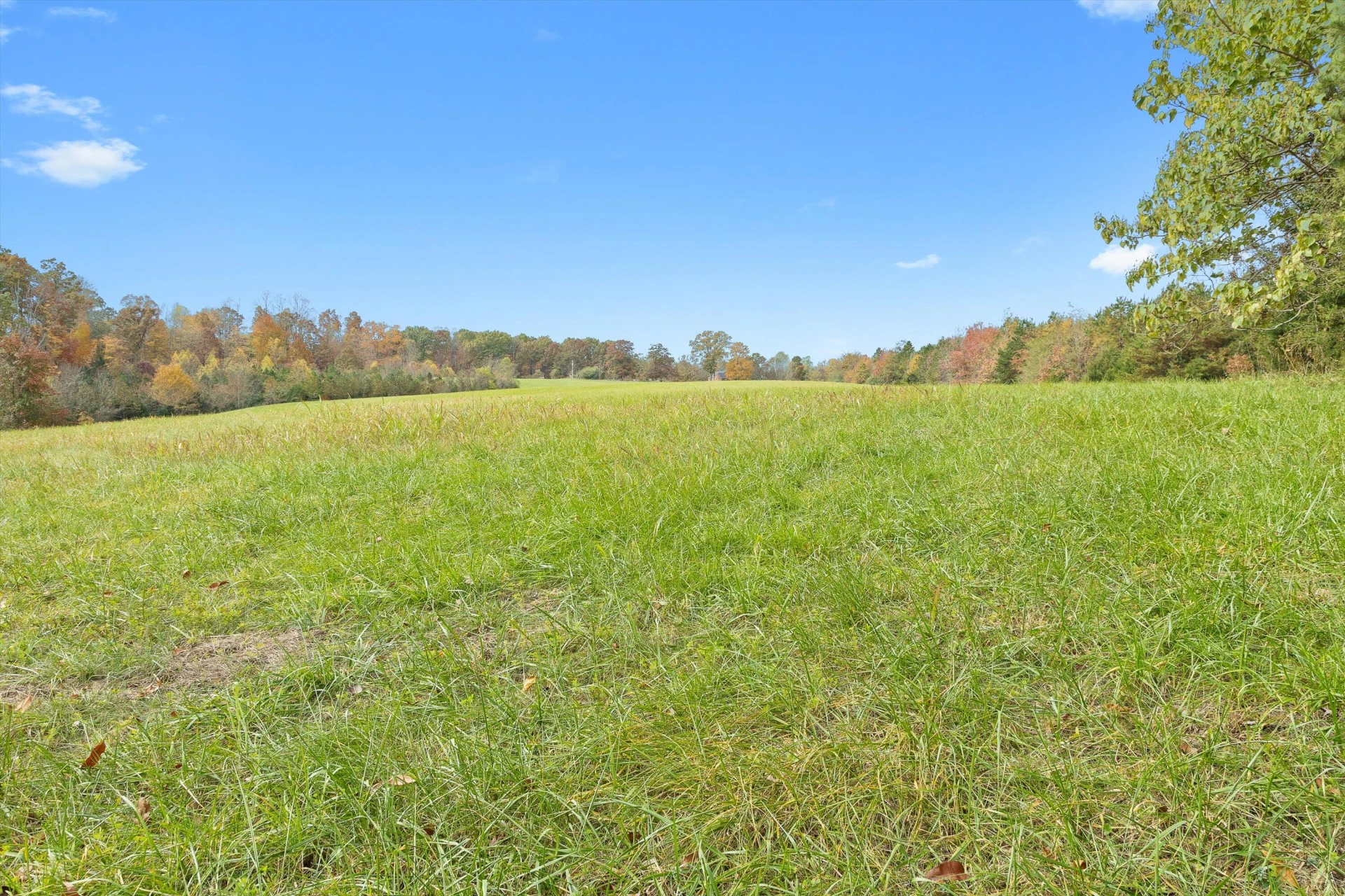 0 Wilson Church RD - Photo 38