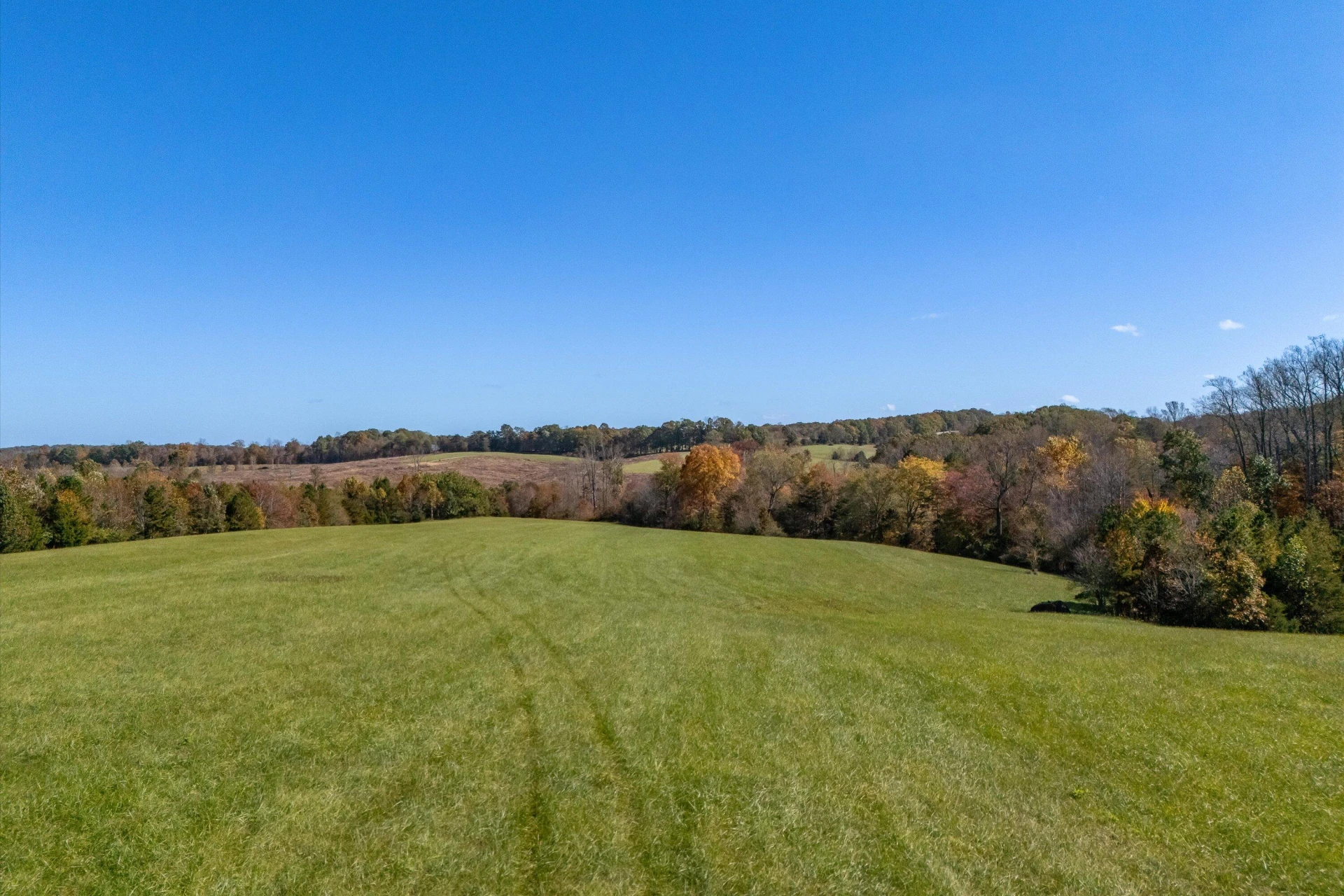 0 Wilson Church RD - Photo 5