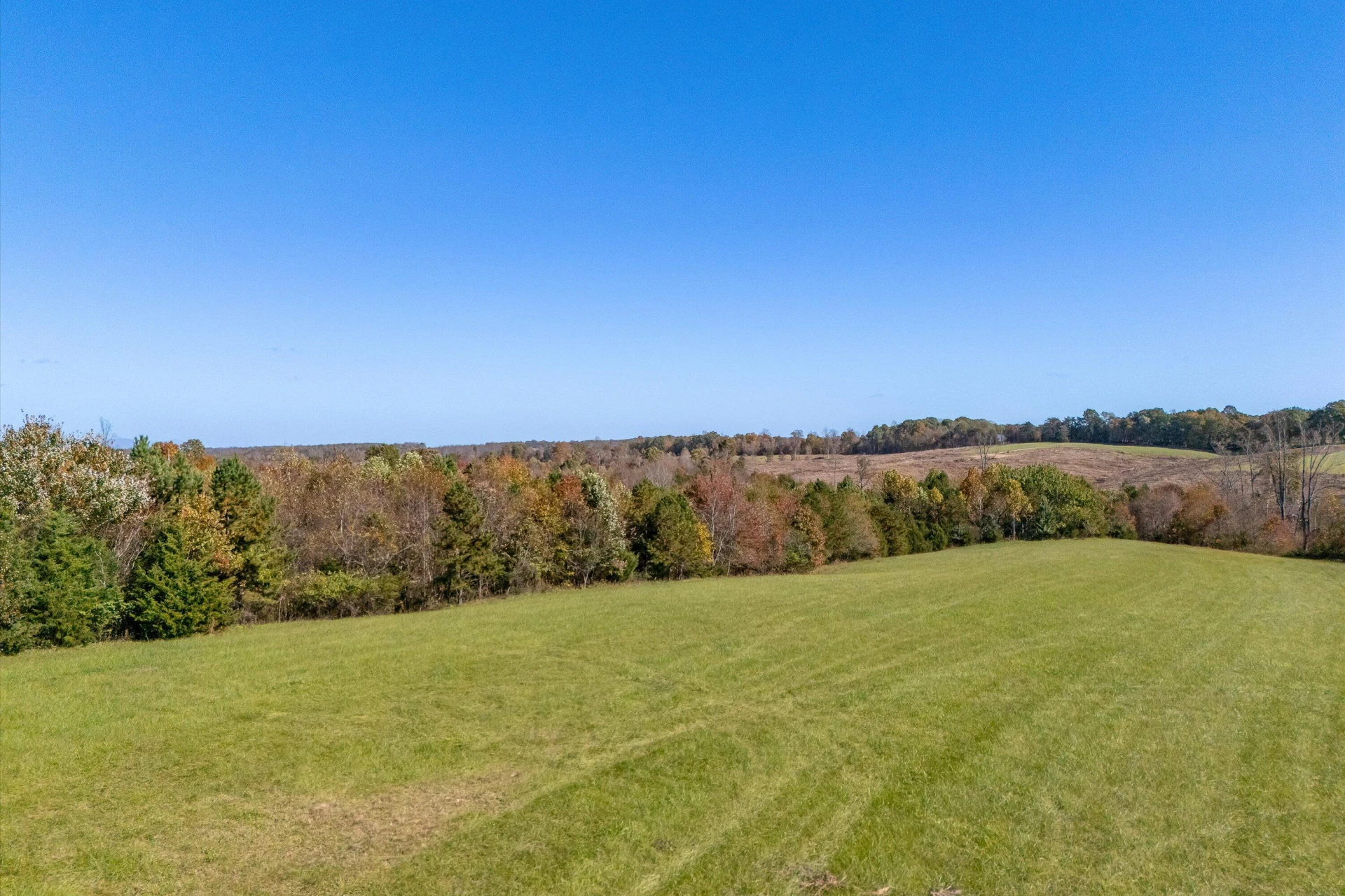 0 Wilson Church RD - Photo 6