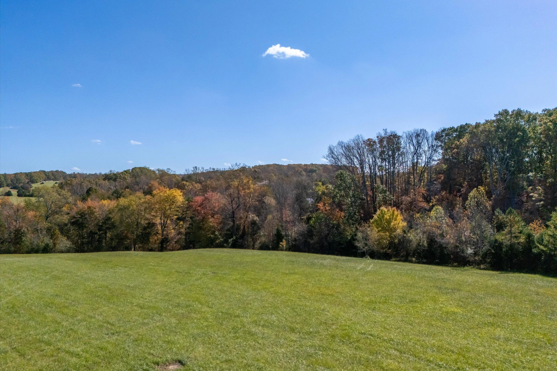 0 Wilson Church RD - Photo 7