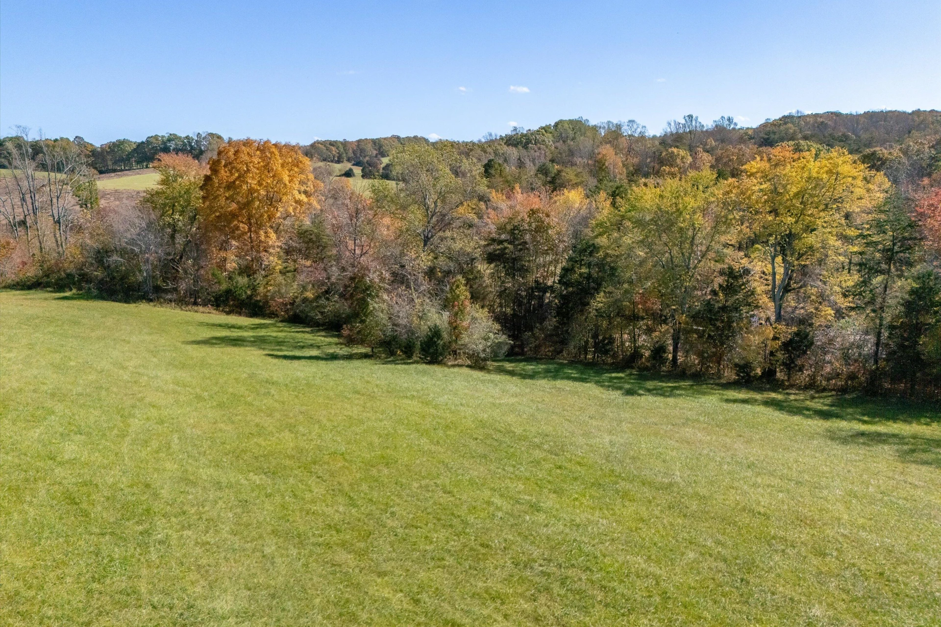 0 Wilson Church RD - Photo 8