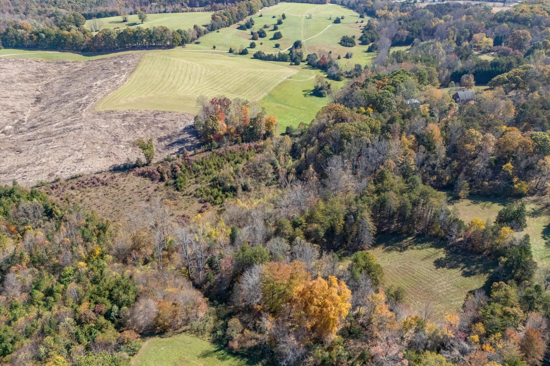 0 Wilson Church RD - Photo 9