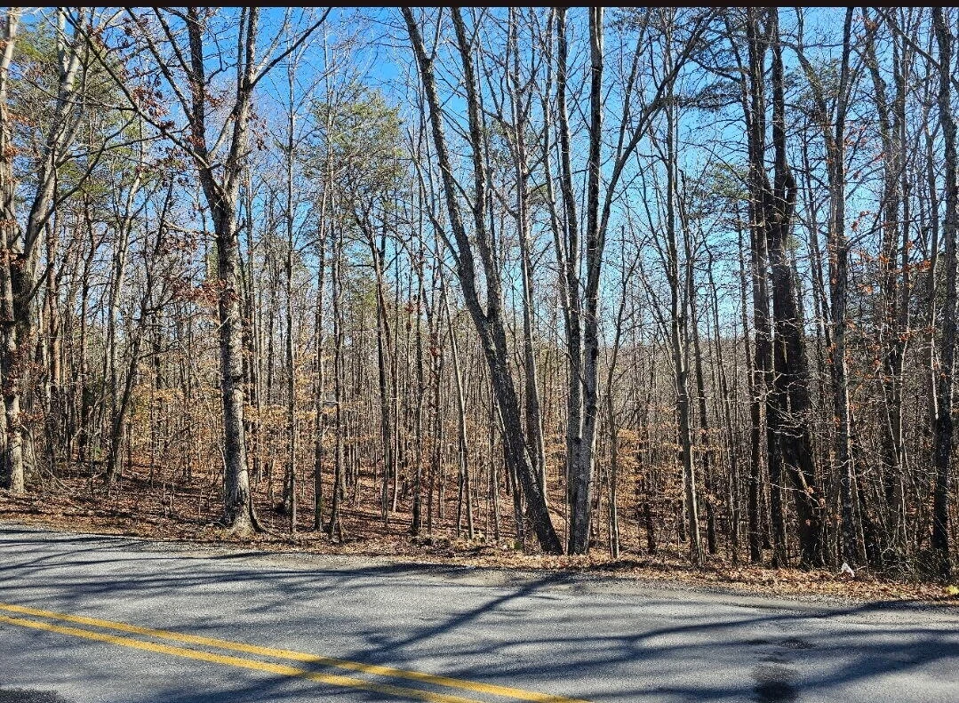 Tract 4-B Red Oak RD