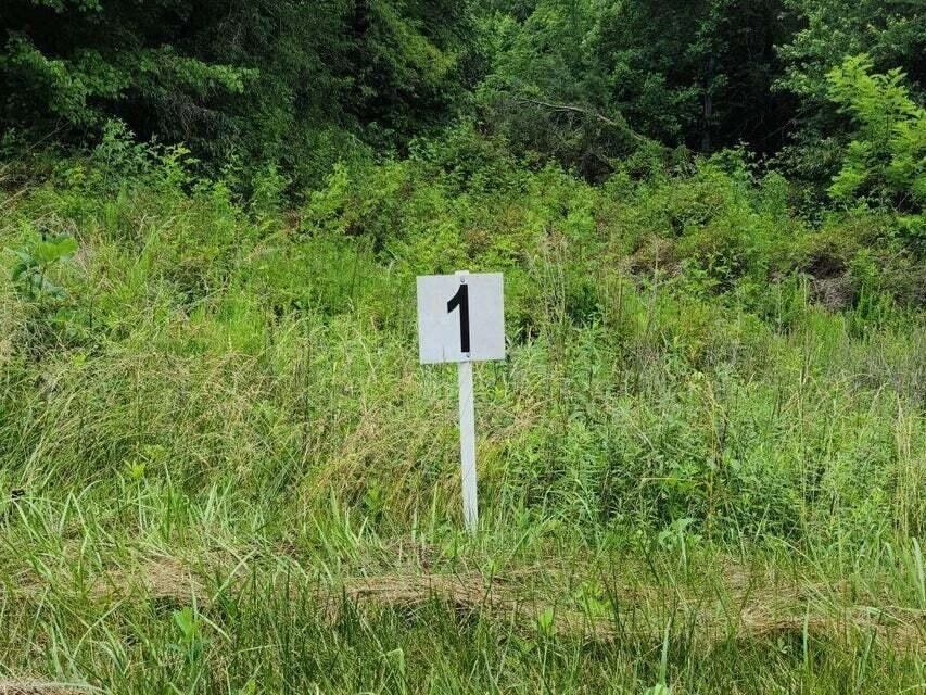 Lot 1 Dillards Hill RD