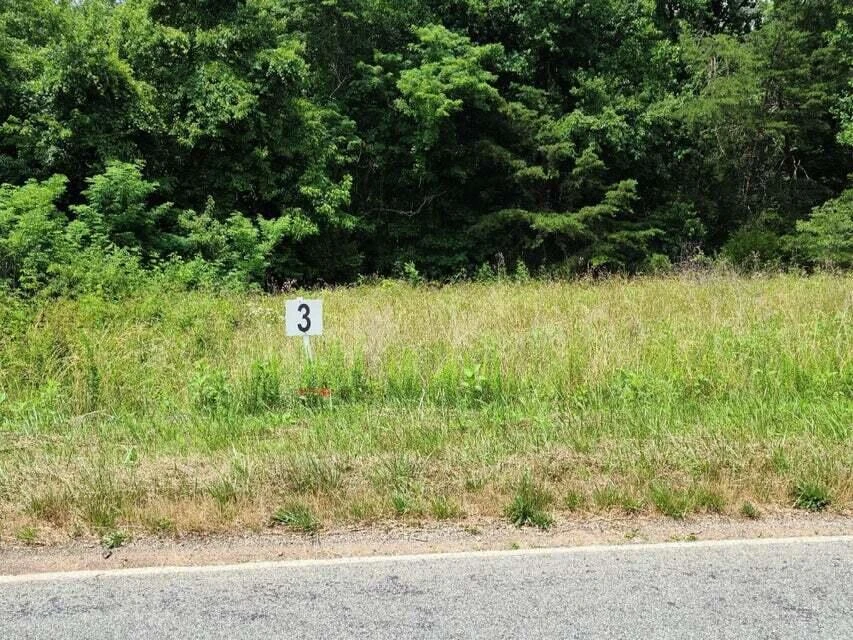 Lot 3 Dillards Hill RD