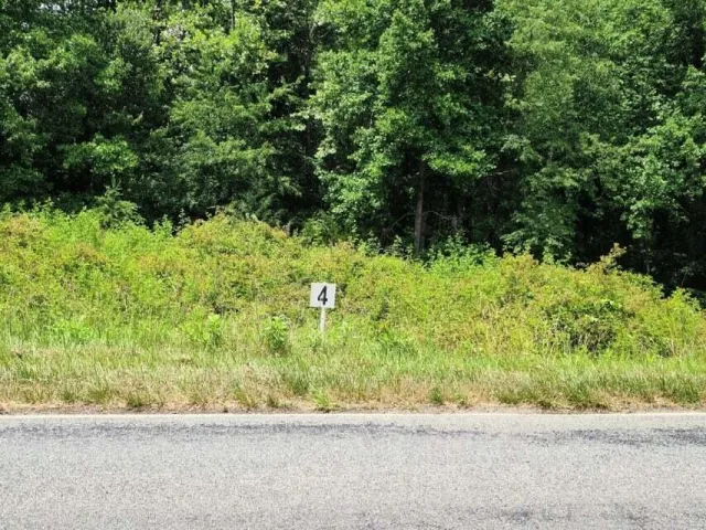 Lot 4 Dillards Hill RD, Union Hall, VA, 24176