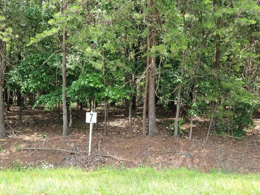 Lot 7 Dillards Hill RD