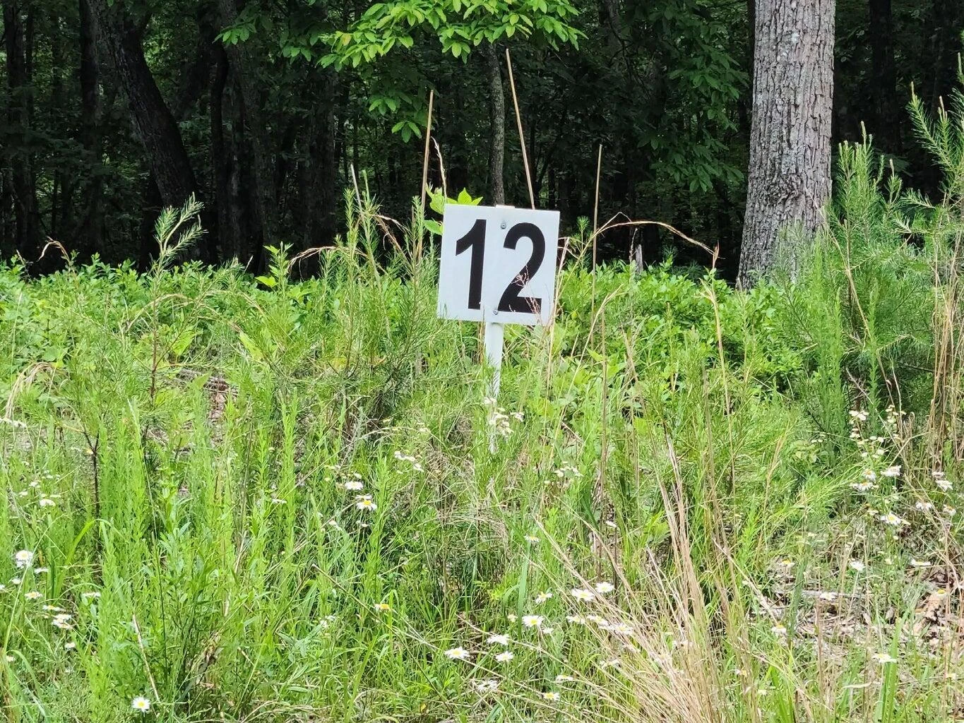 Lot 12 Belle Isle DR