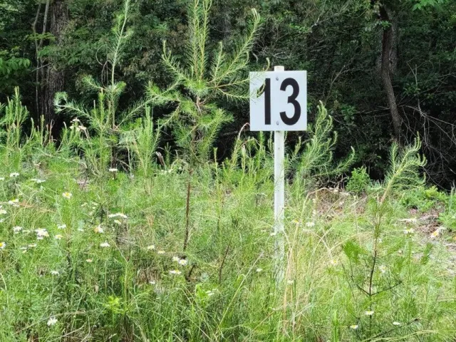 Lot 13 Belle Isle DR