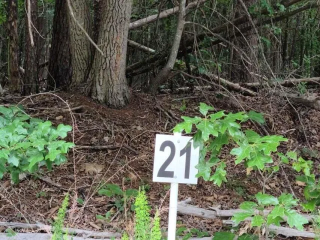 Lot 21 Belle Isle DR