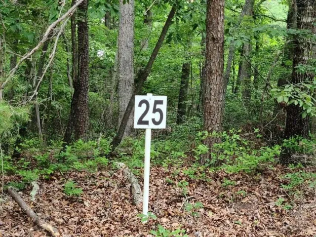 Lot 25 Belle Isle DR, Union Hall, VA, 24176