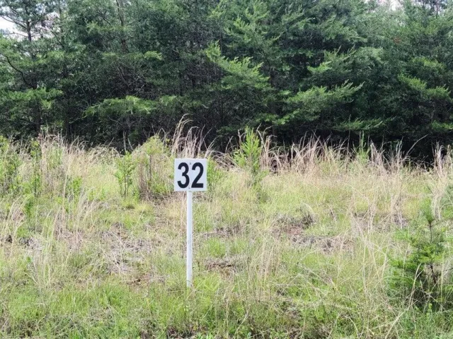 Lot 32 Dillards Hill RD, Union Hall, VA, 24176