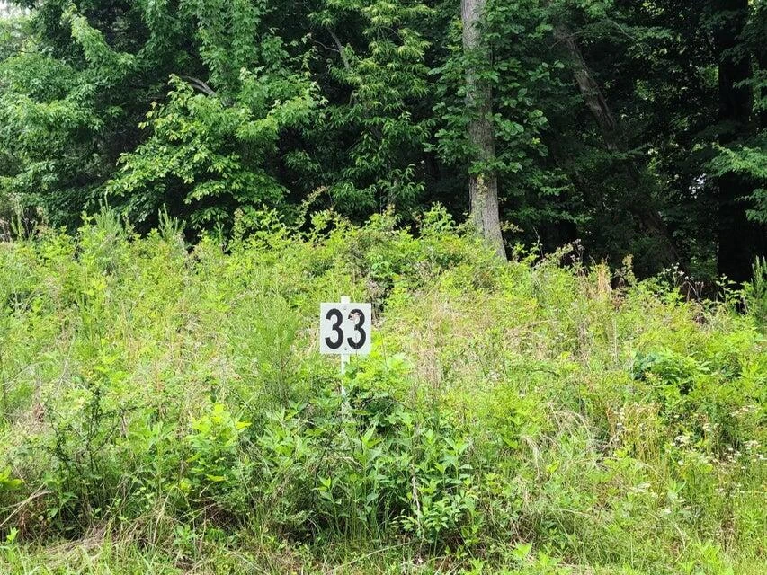 Lot 33 Dillards Hill RD
